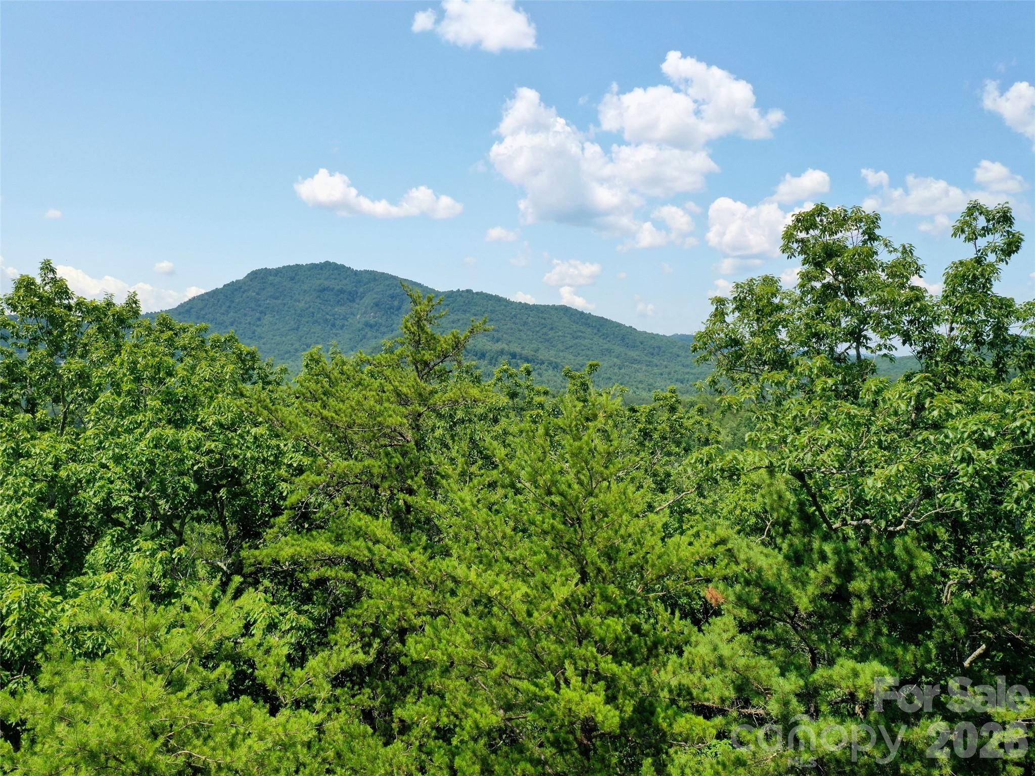 0 Buffalo Creek Road Lot 35 Property Photo 18