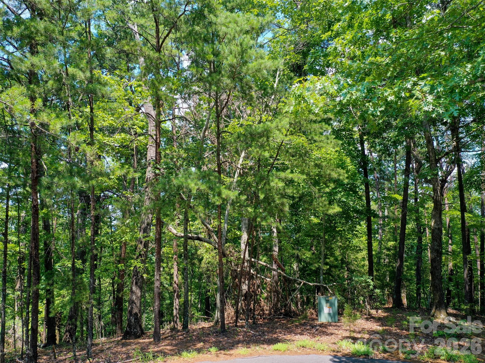 0 Buffalo Creek Road Lot 35 Property Photo 19