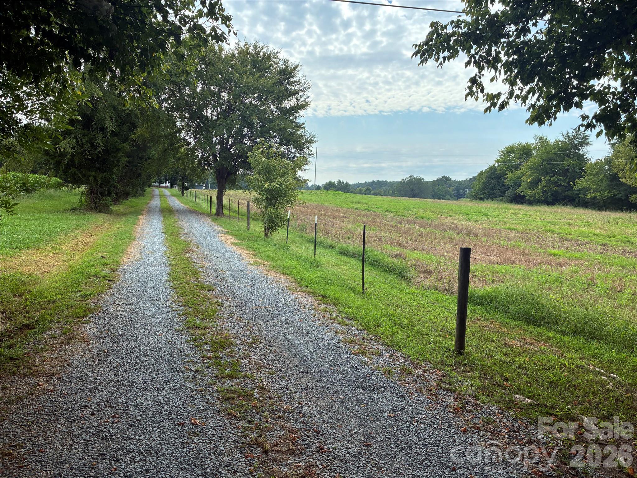 13215 Pine Bluff Road Property Photo 5