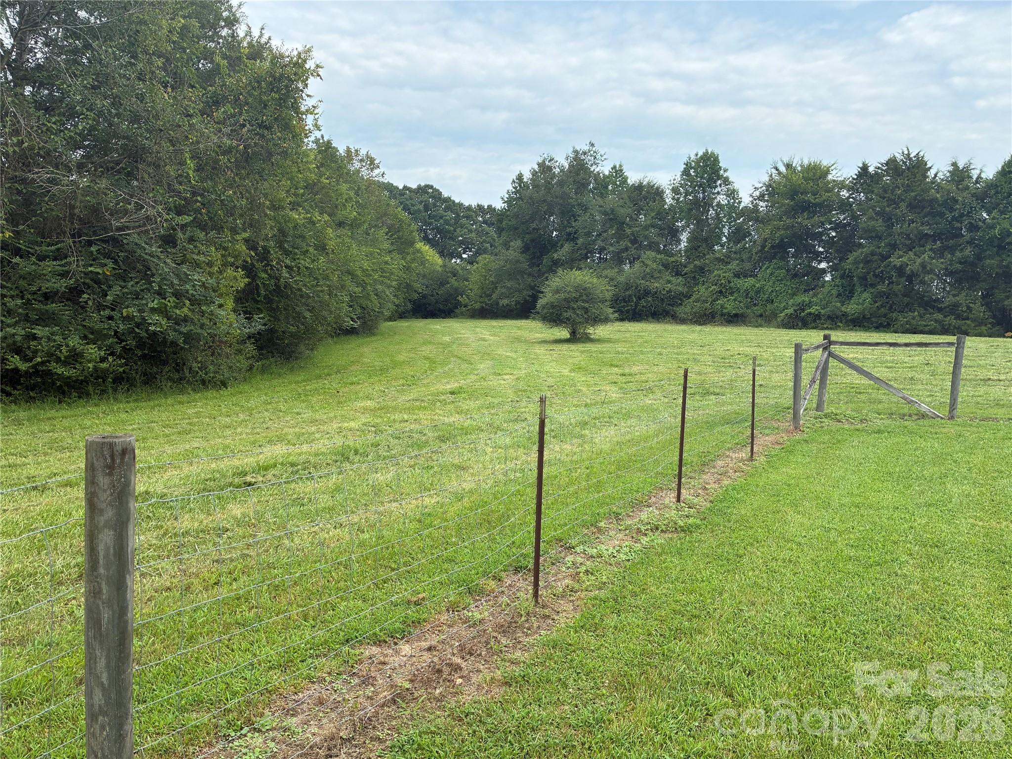 13215 Pine Bluff Road Property Photo 47