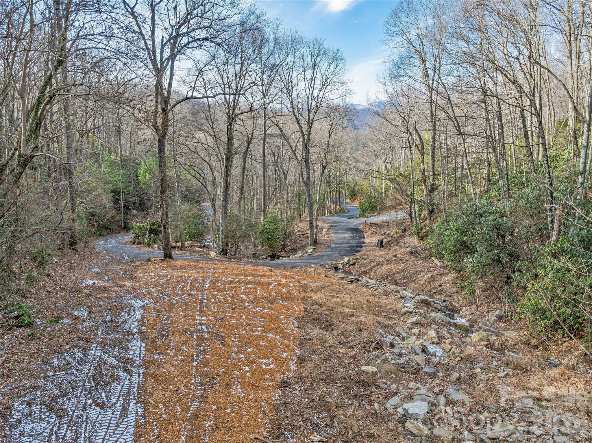 119 Wildflower Cove Drive Property Photo 1
