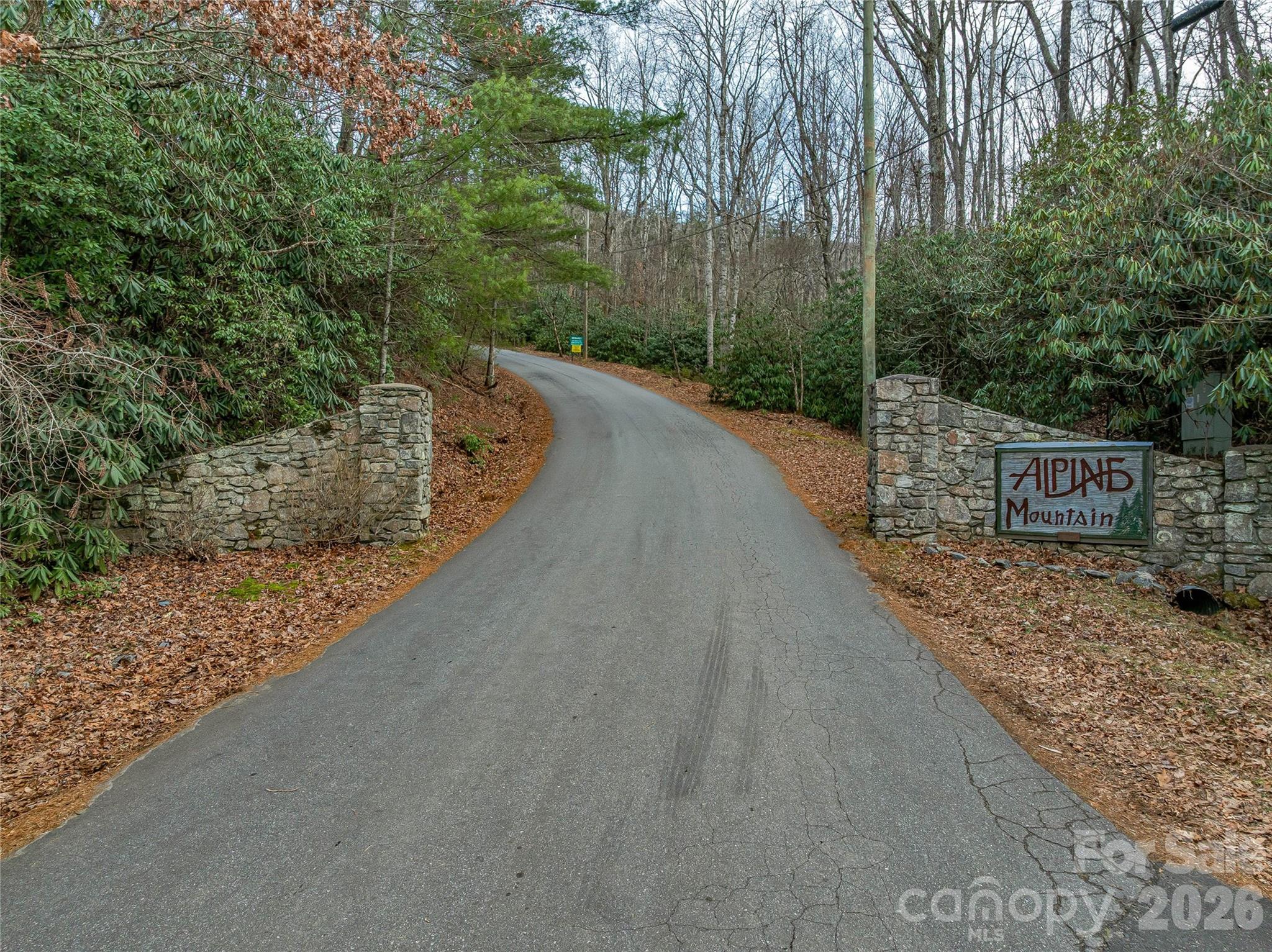 119 Wildflower Cove Drive Property Photo 5