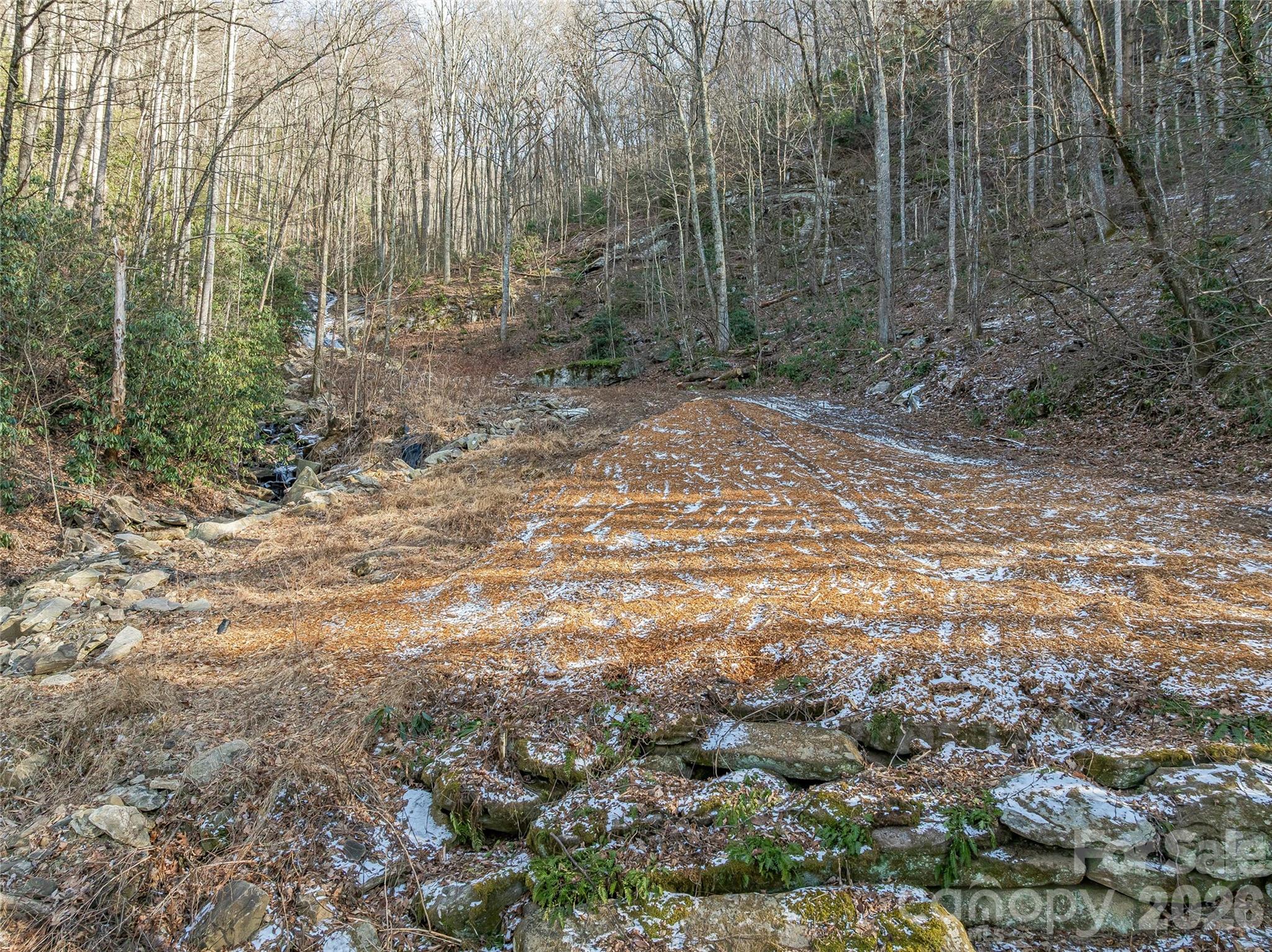 119 Wildflower Cove Drive Property Photo 8