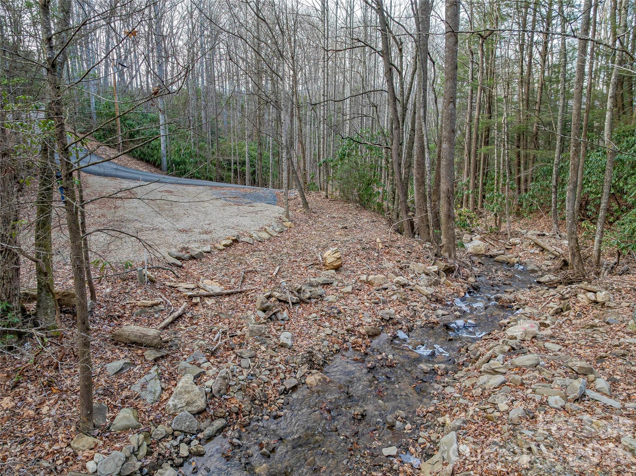 119 Wildflower Cove Drive Property Photo 14
