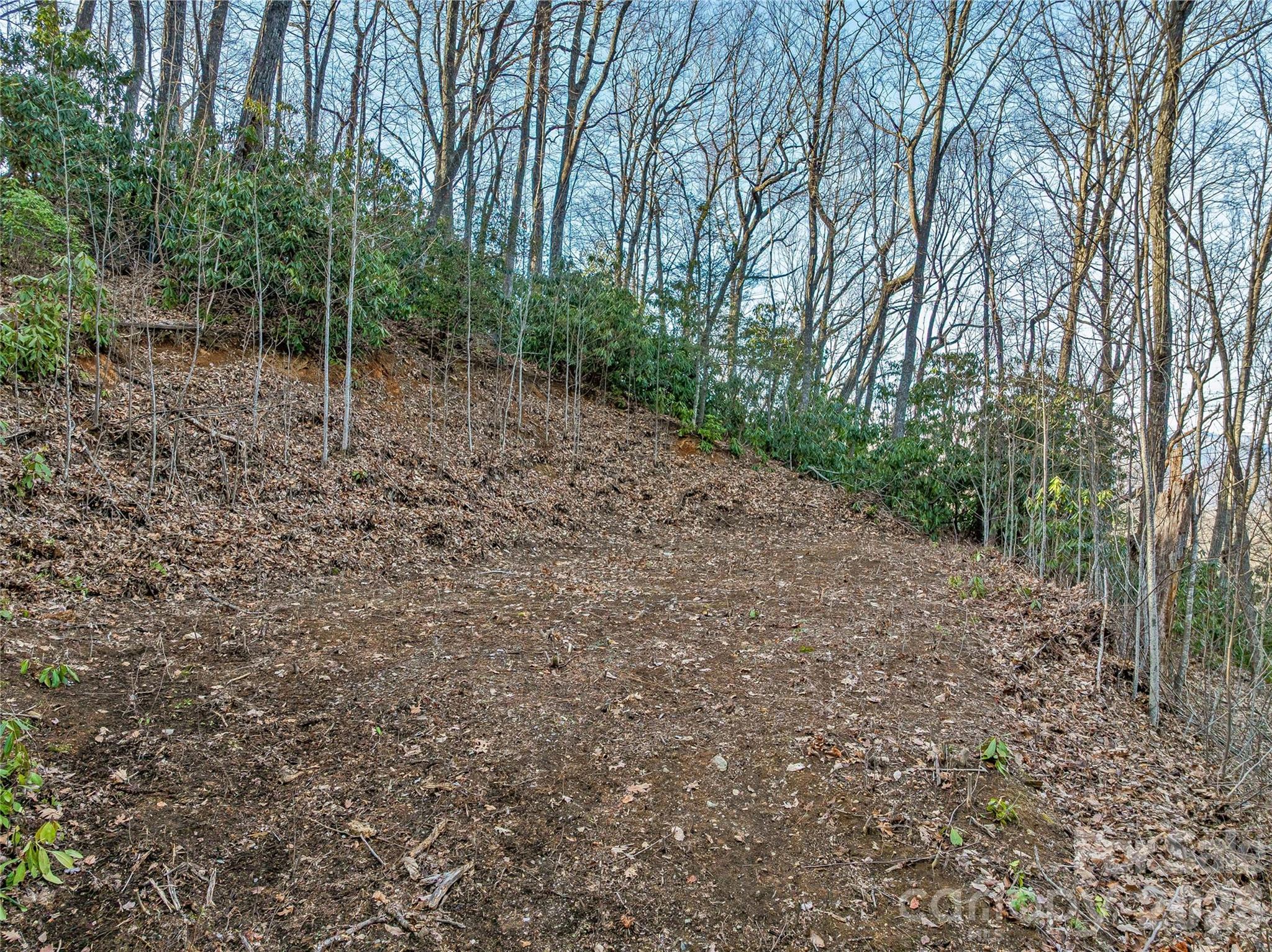 119 Wildflower Cove Drive Property Photo 19
