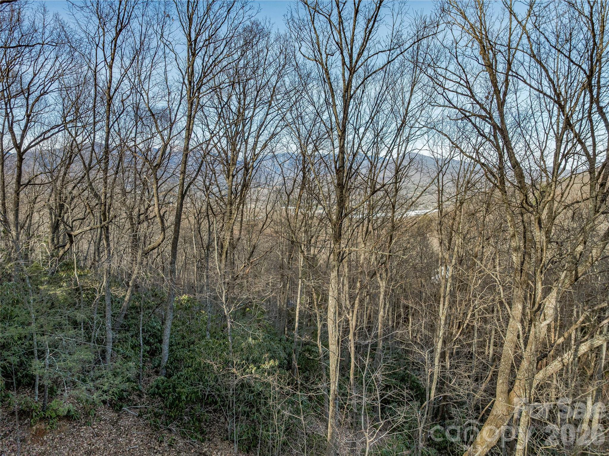 119 Wildflower Cove Drive Property Photo 21