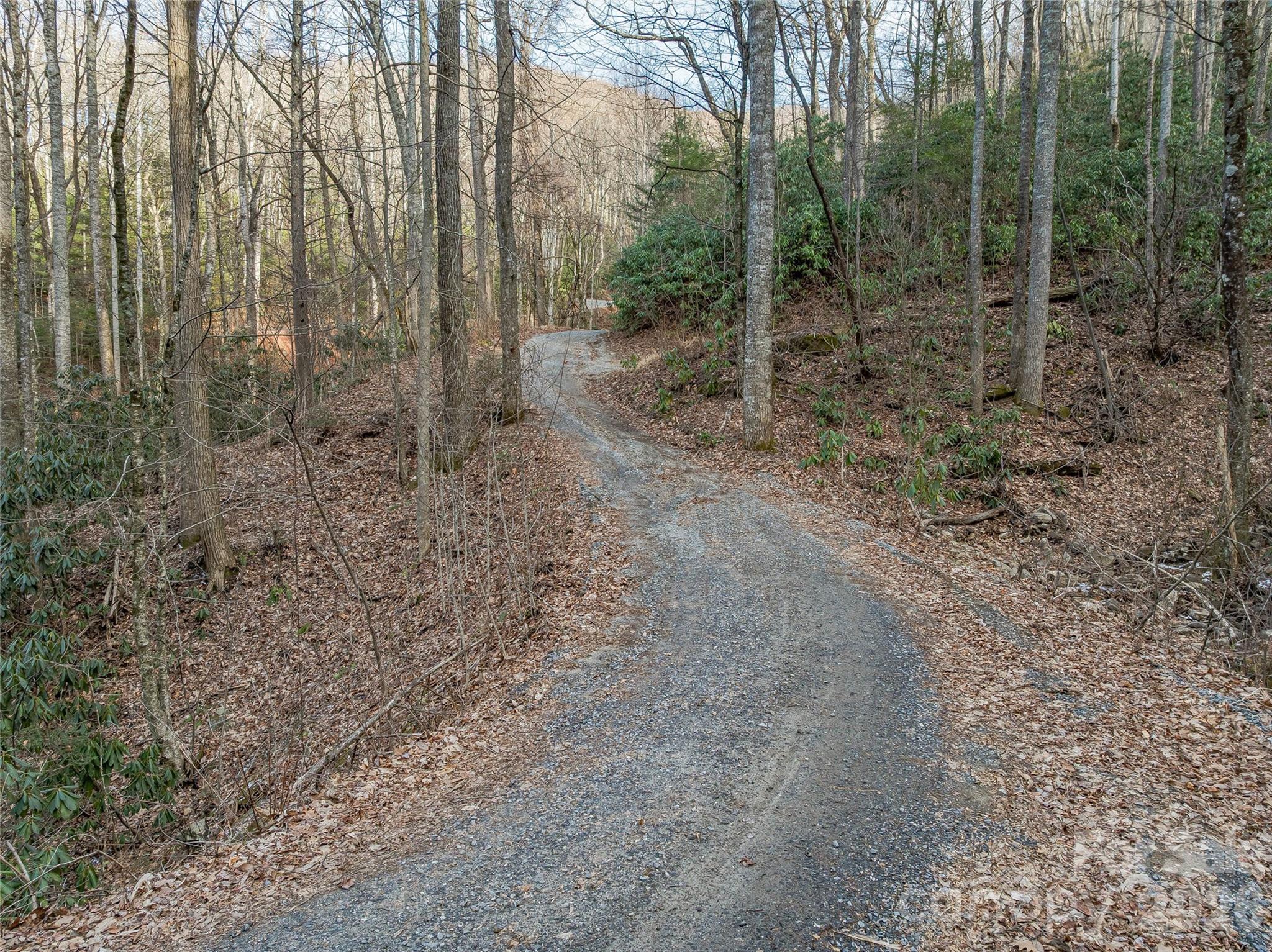 119 Wildflower Cove Drive Property Photo 23