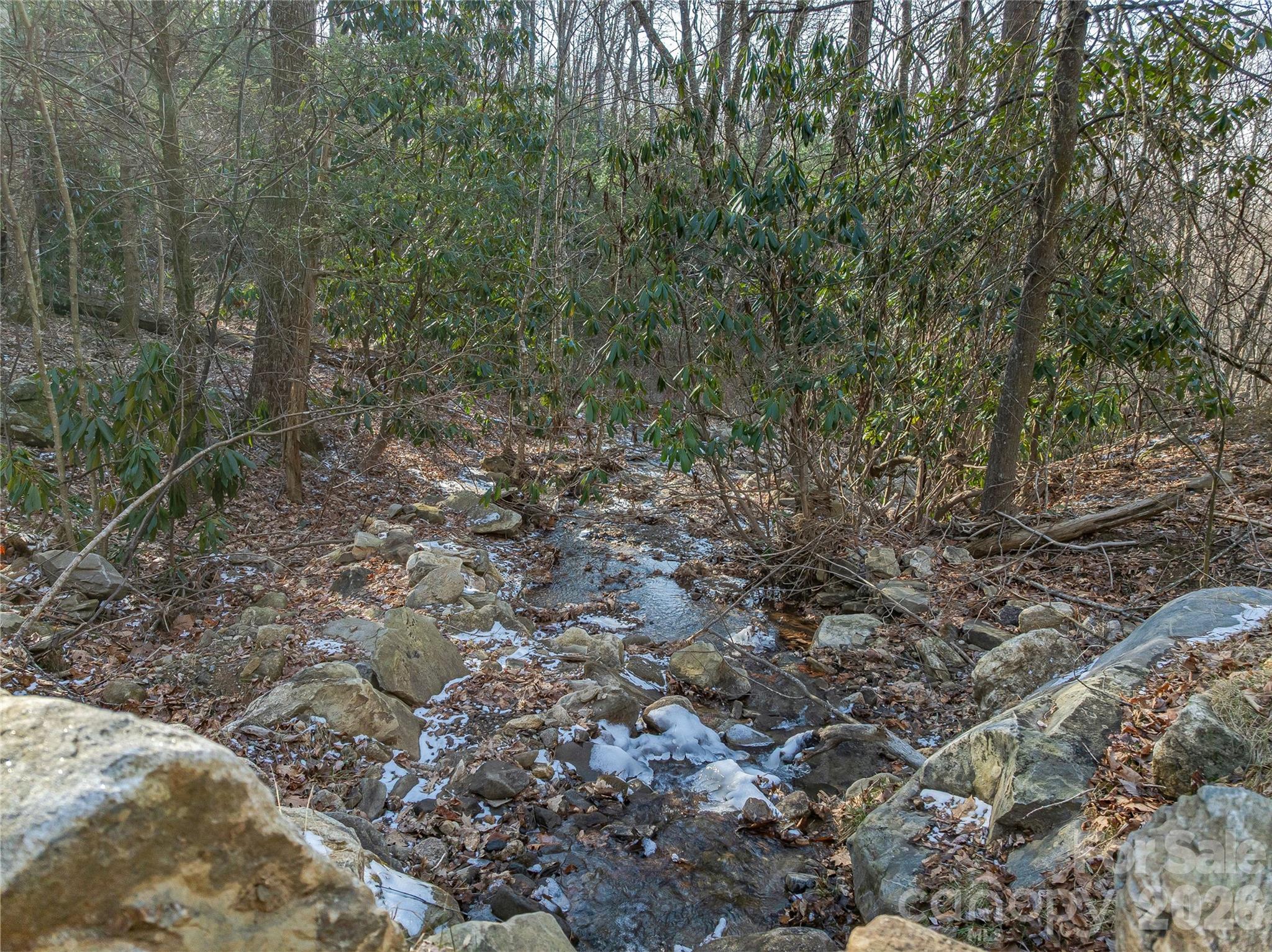 119 Wildflower Cove Drive Property Photo 28