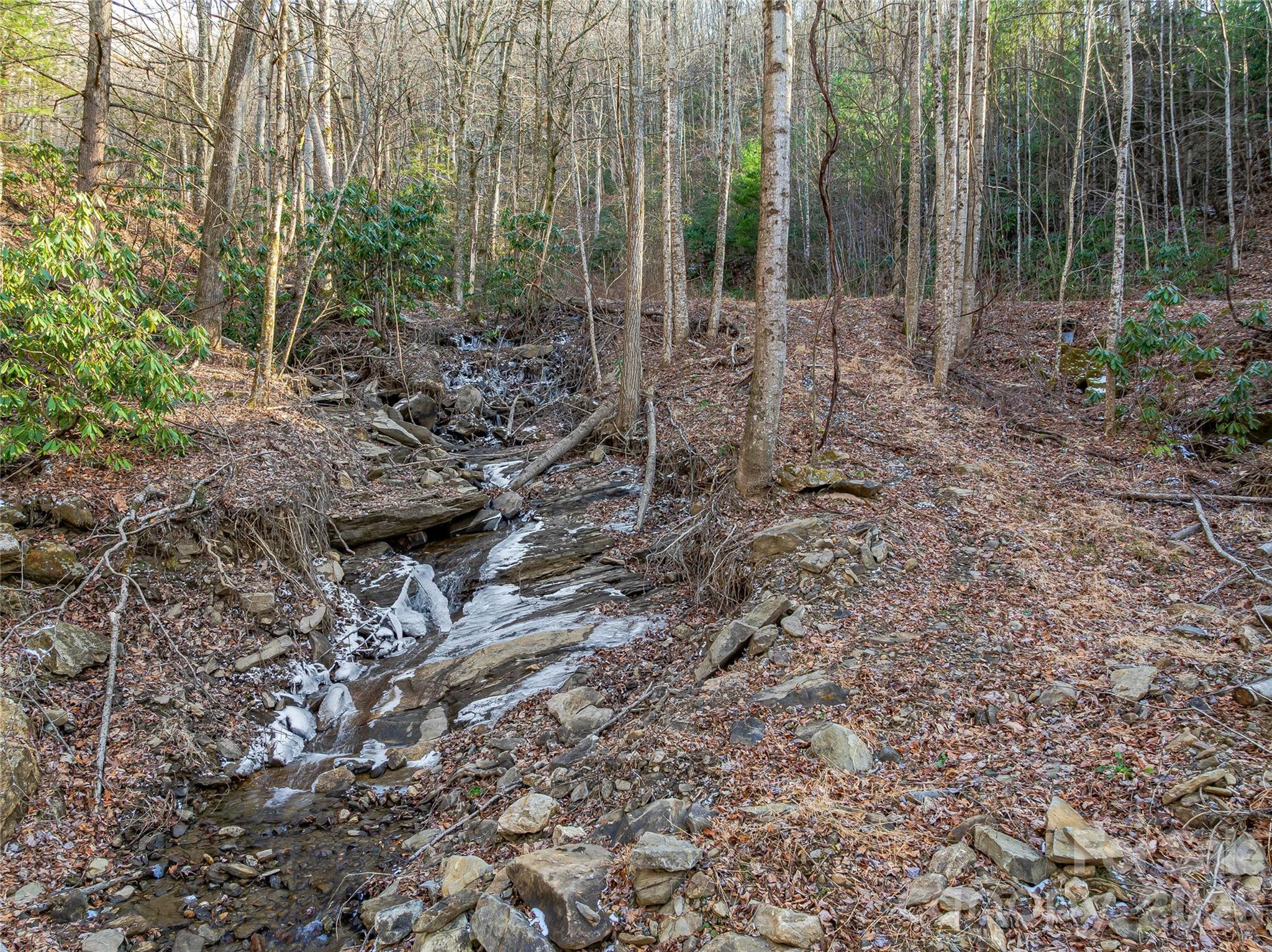 119 Wildflower Cove Drive Property Photo 29