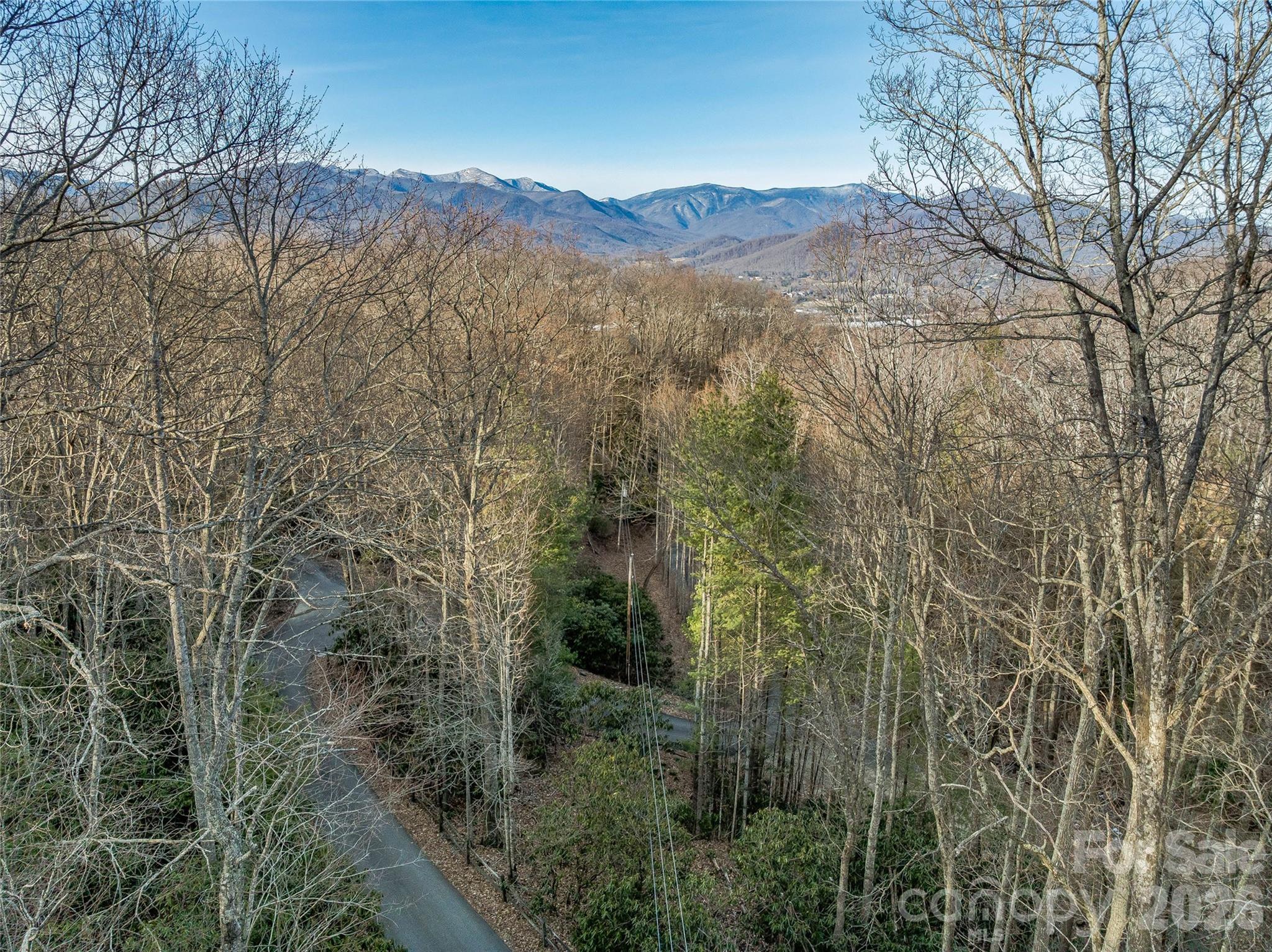 119 Wildflower Cove Drive Property Photo 31