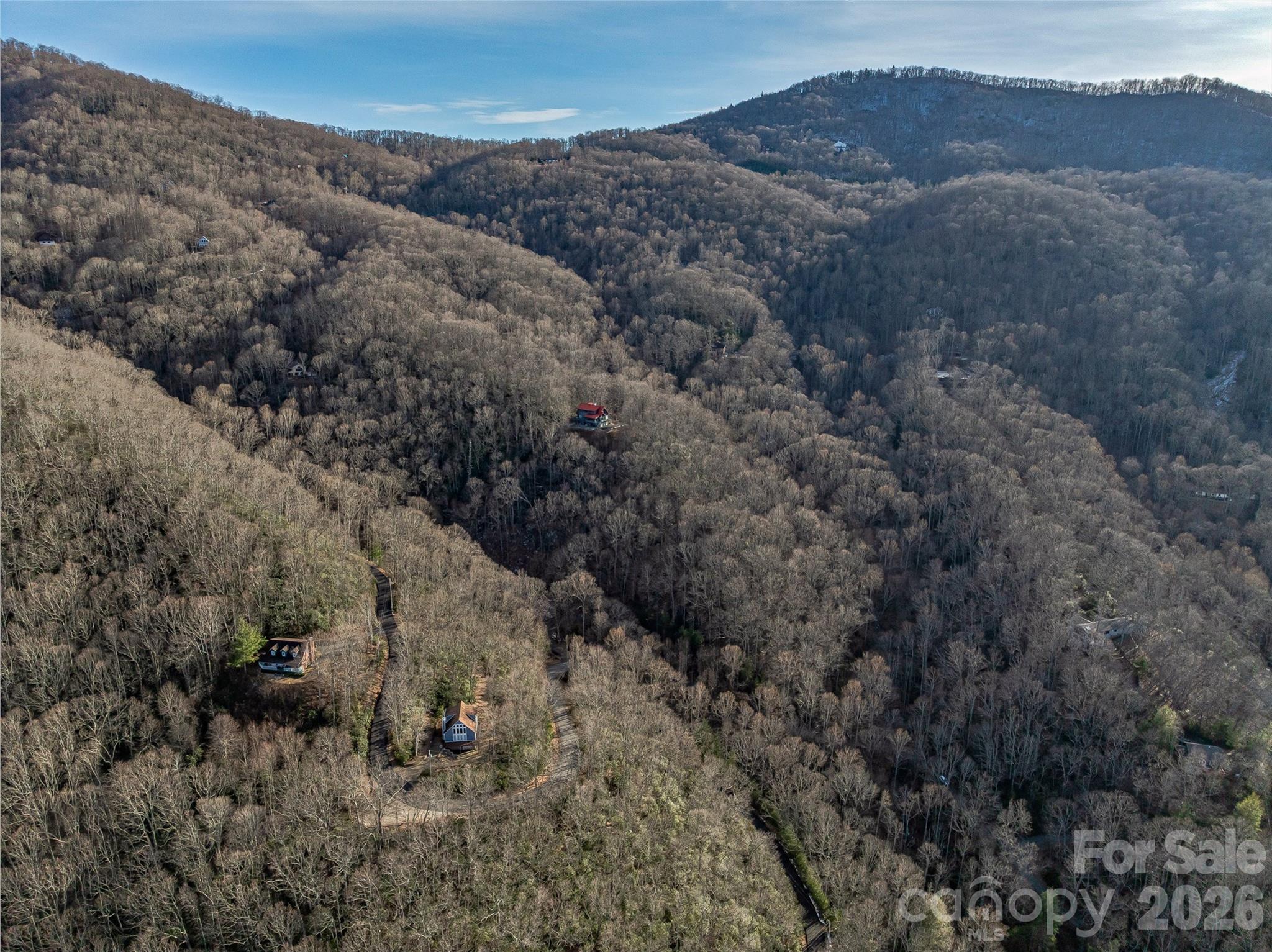119 Wildflower Cove Drive Property Photo 34
