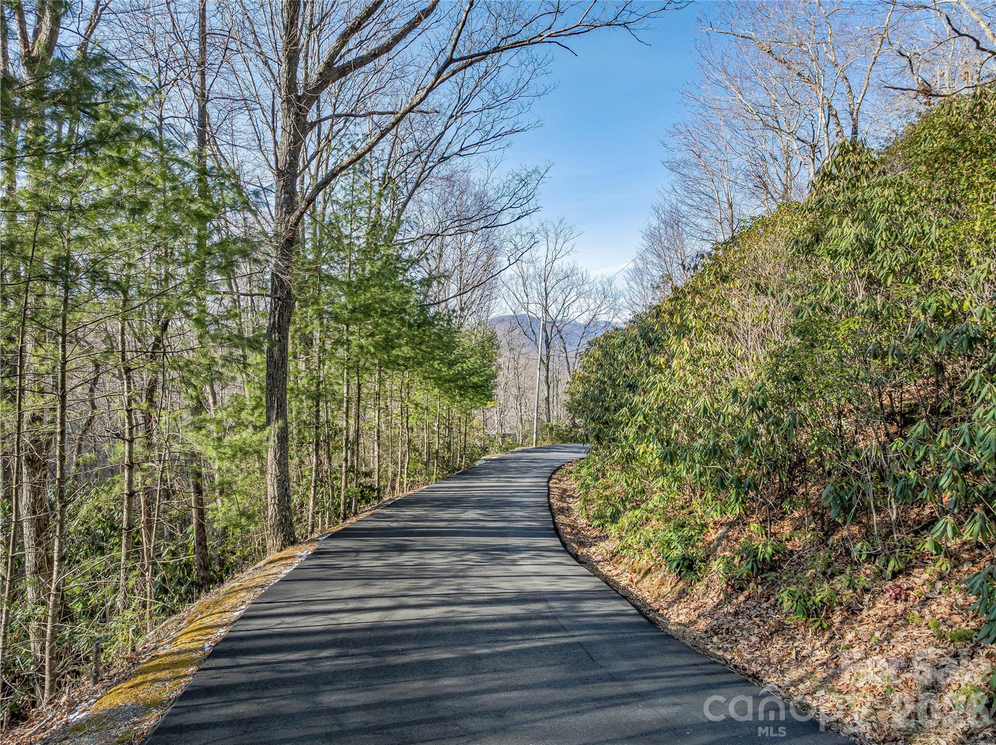 119 Wildflower Cove Drive Property Photo 42