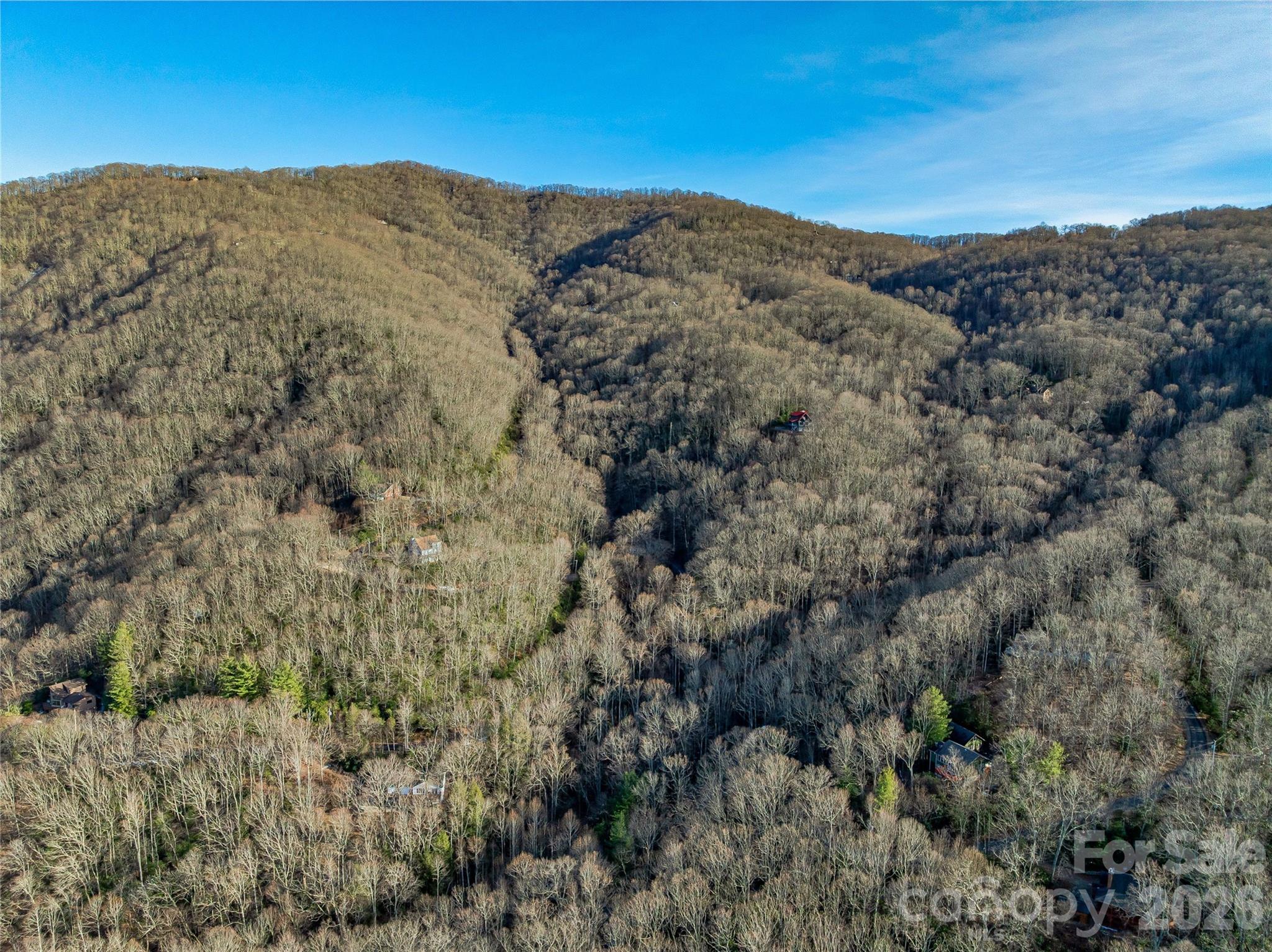 119 Wildflower Cove Drive Property Photo 45