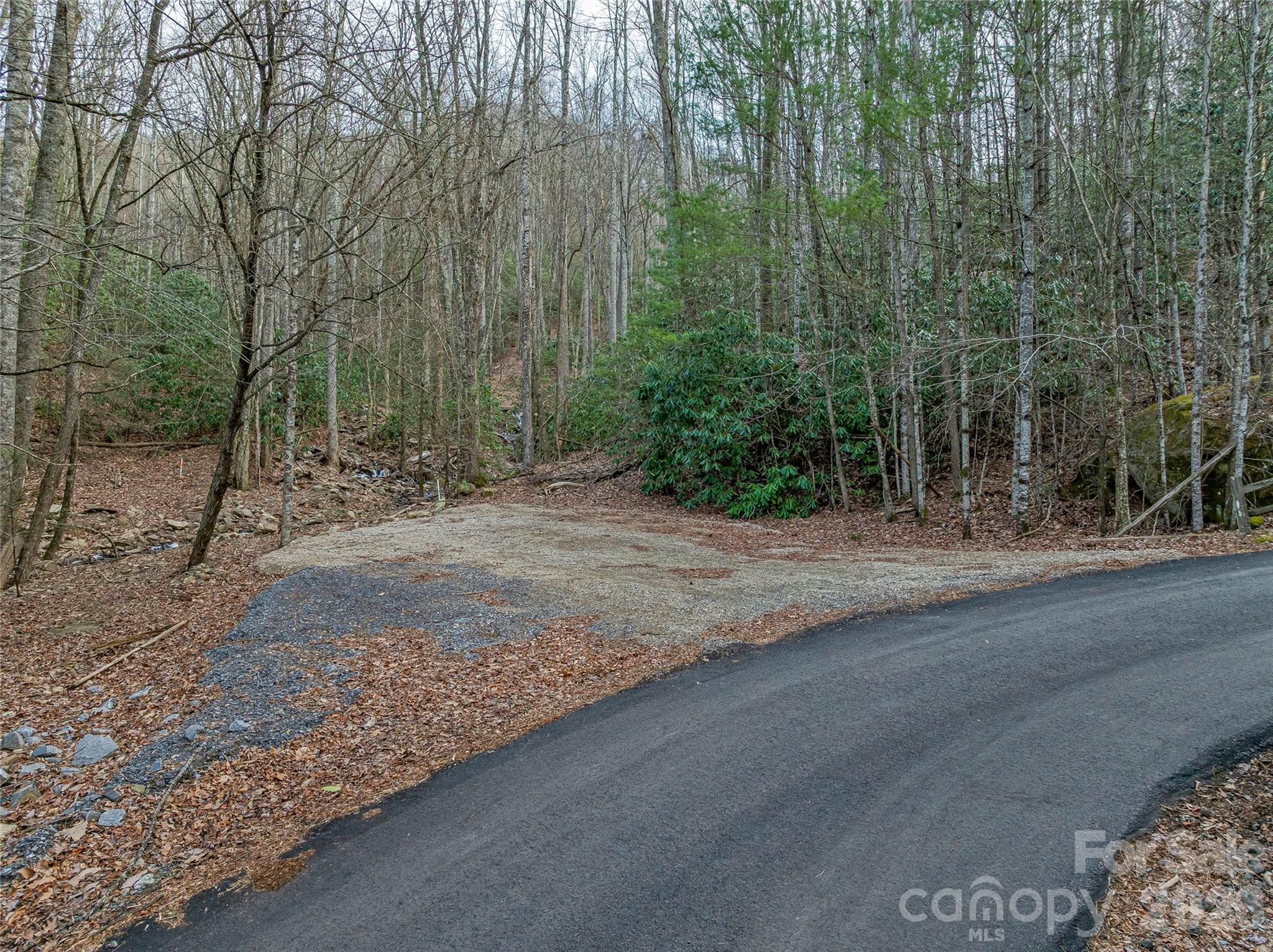 119 Wildflower Cove Drive Property Photo 47