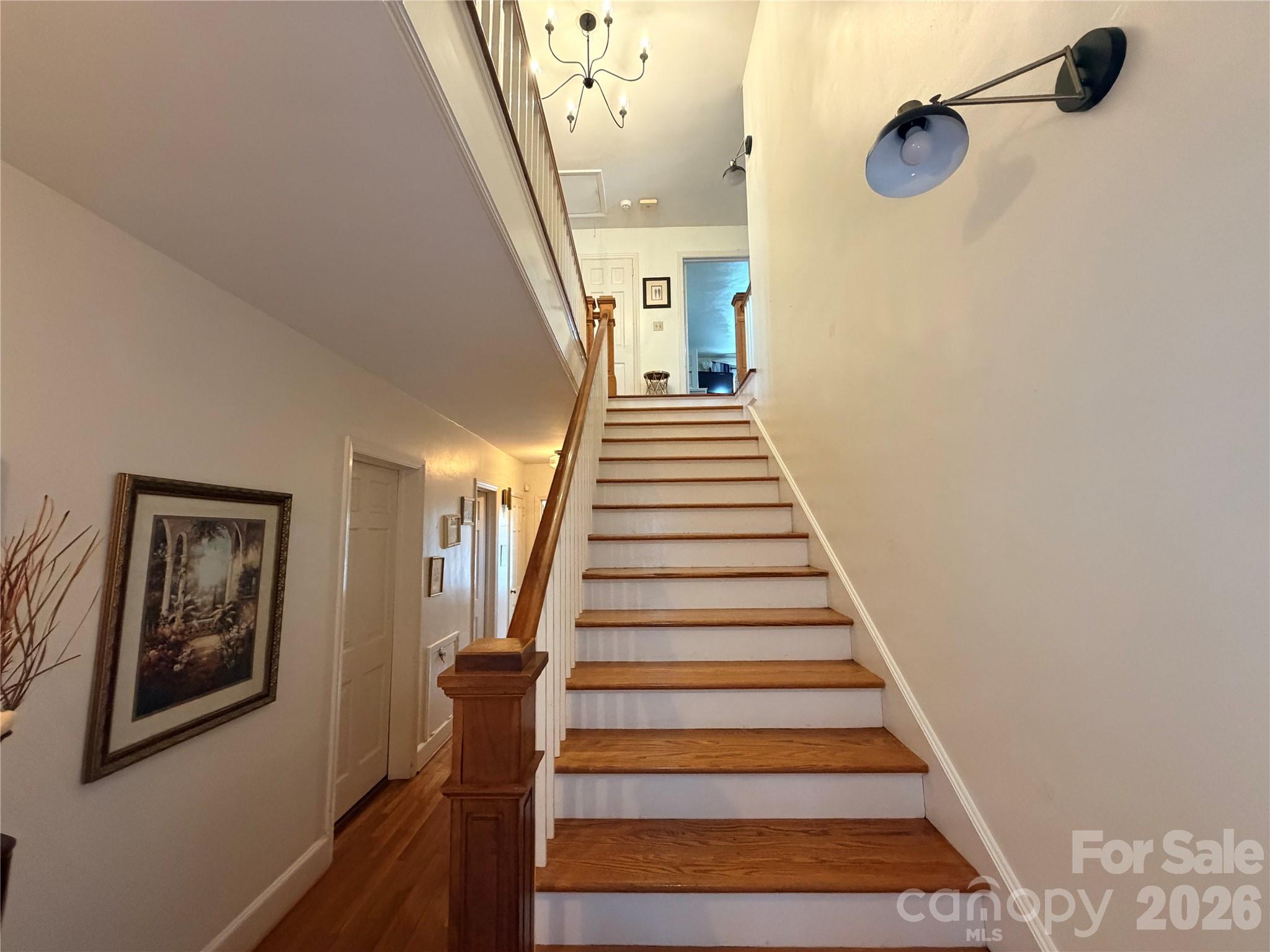 313 E Martin Street Property Photo 24