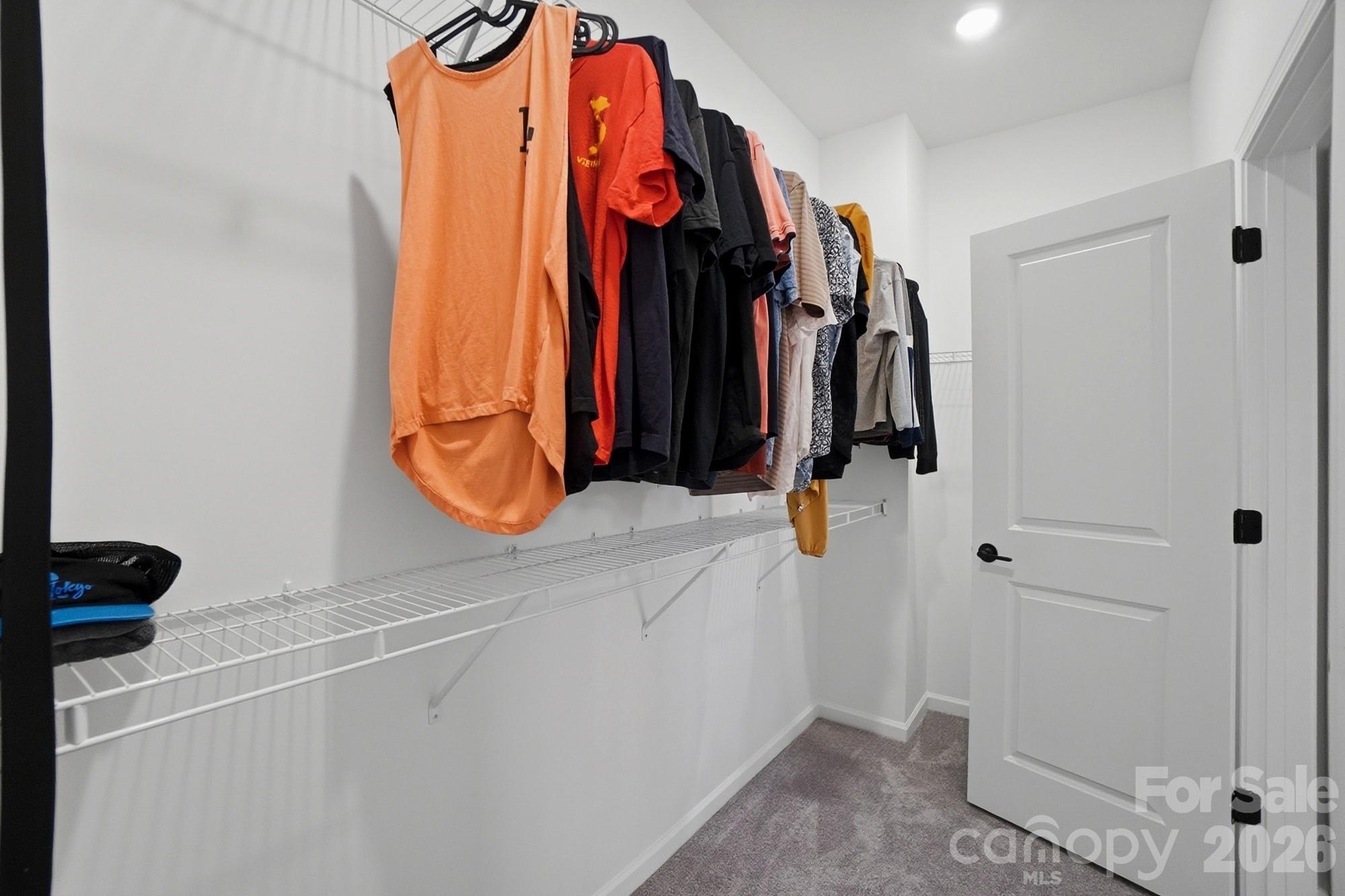 8928 Morning Mist Road Property Photo 22