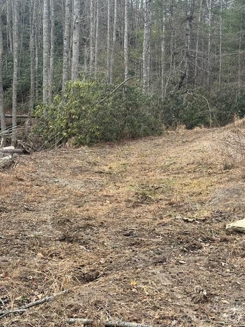 0 Benton Drive Property Photo 1