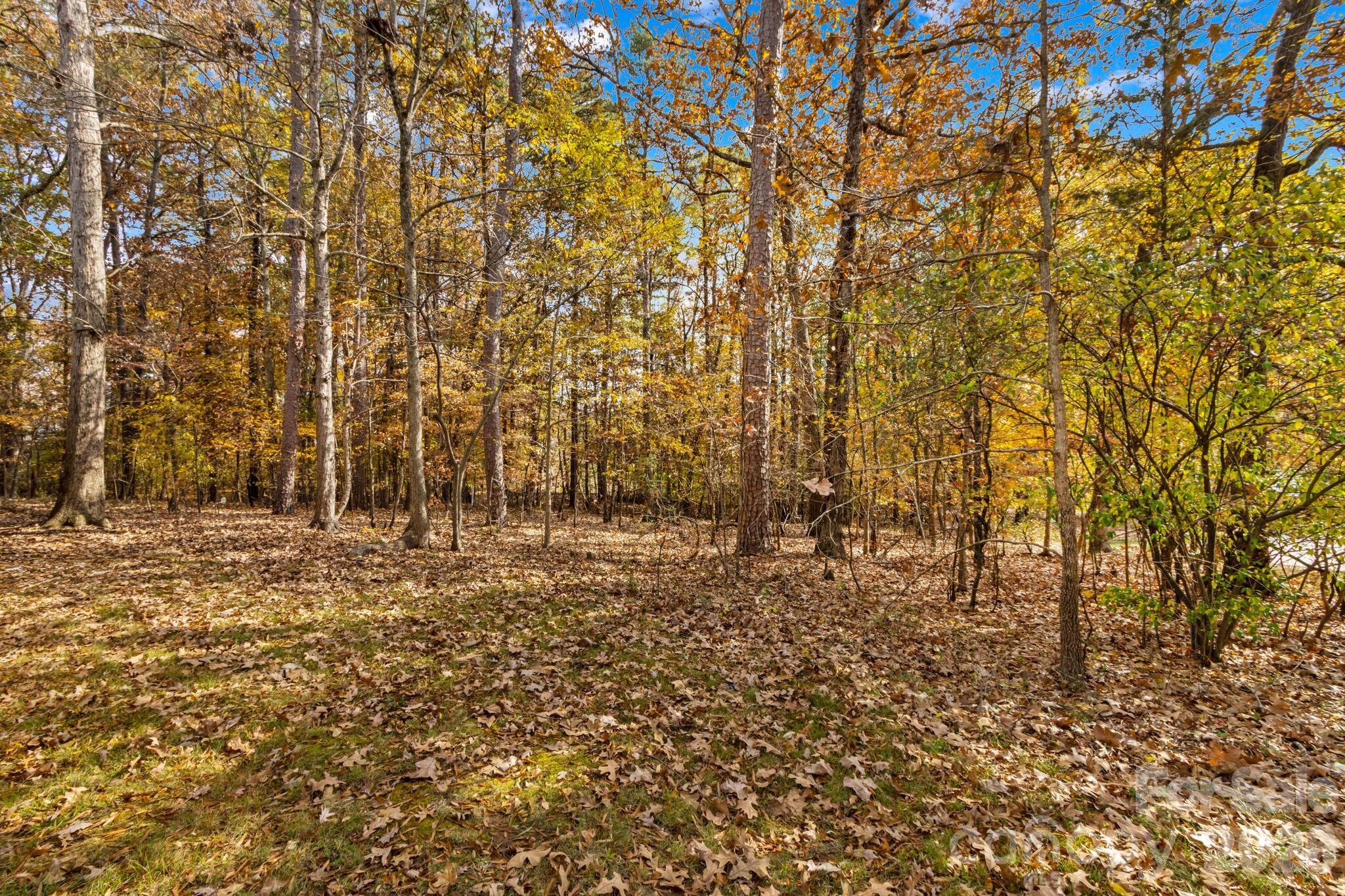 411 Wildwood Drive Property Photo 41