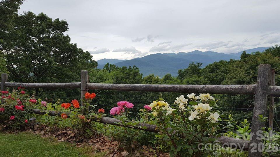 126 Wildflower Cove Drive Property Photo 8
