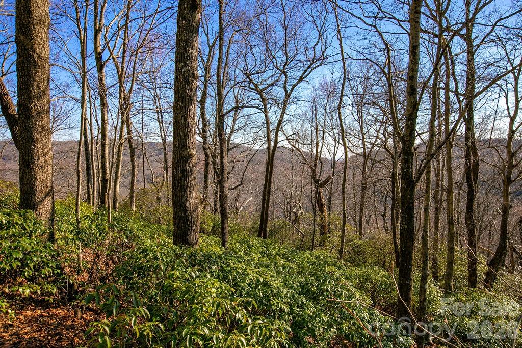 Tbd Oak Ridge Road 17 Property Photo 1