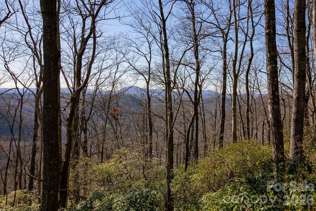 Tbd Oak Ridge Road 17 Property Photo 2