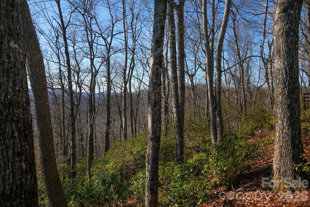 Tbd Oak Ridge Road 17 Property Photo 4