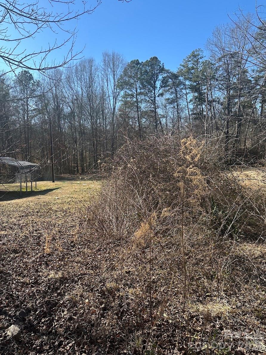 0 Clarence Towery Circle Property Photo 5