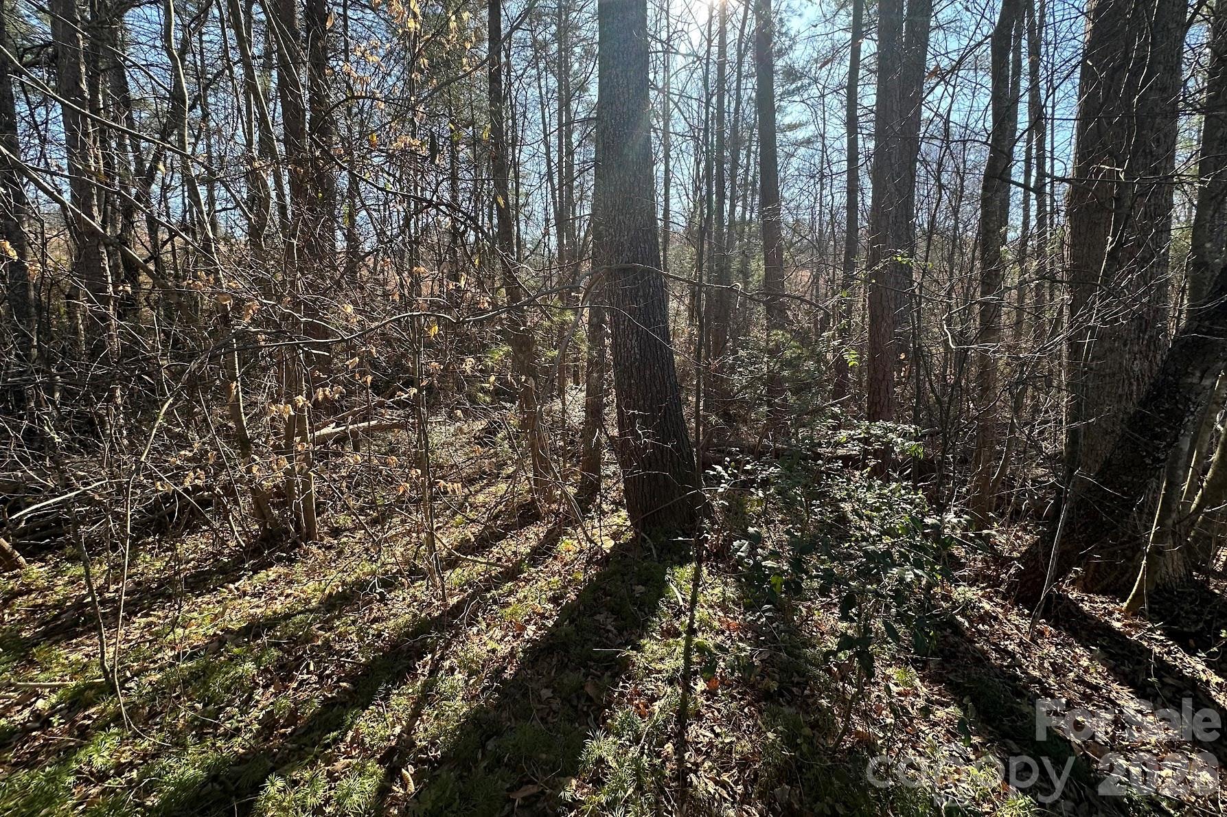 0 Clarence Towery Circle Property Photo 6