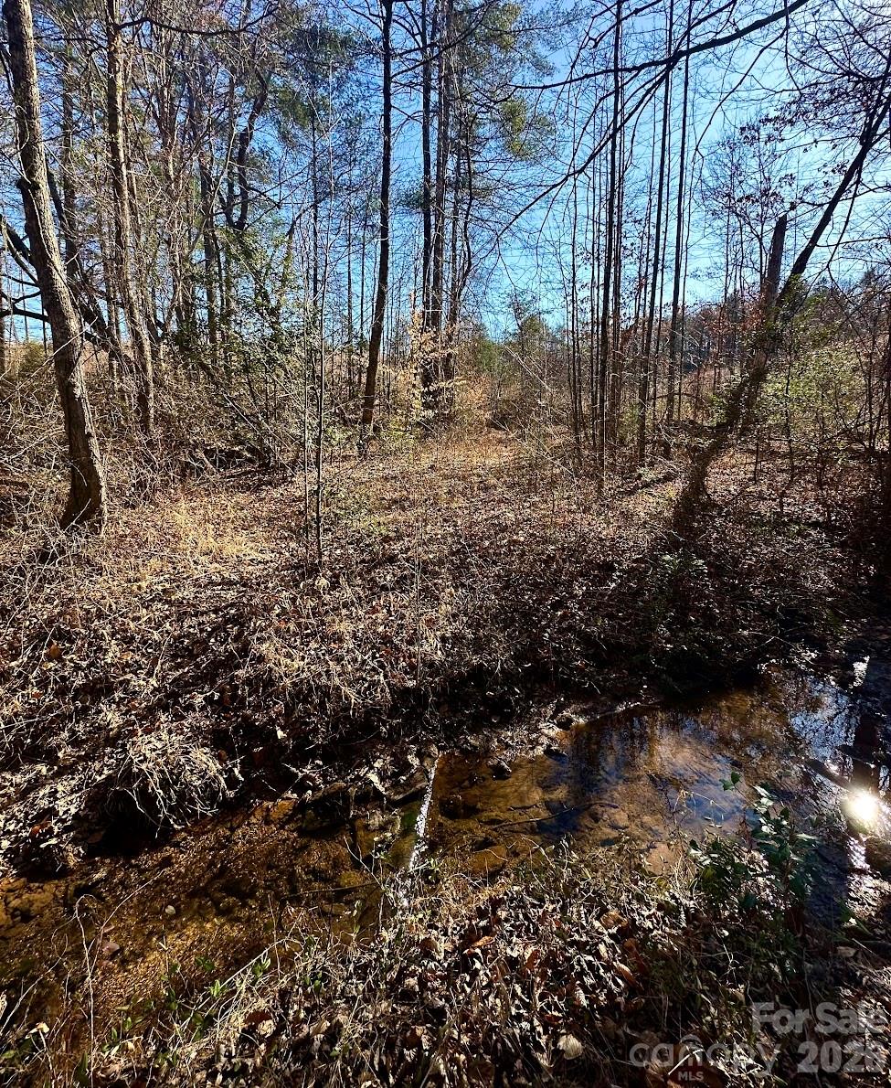 0 Clarence Towery Circle Property Photo 8