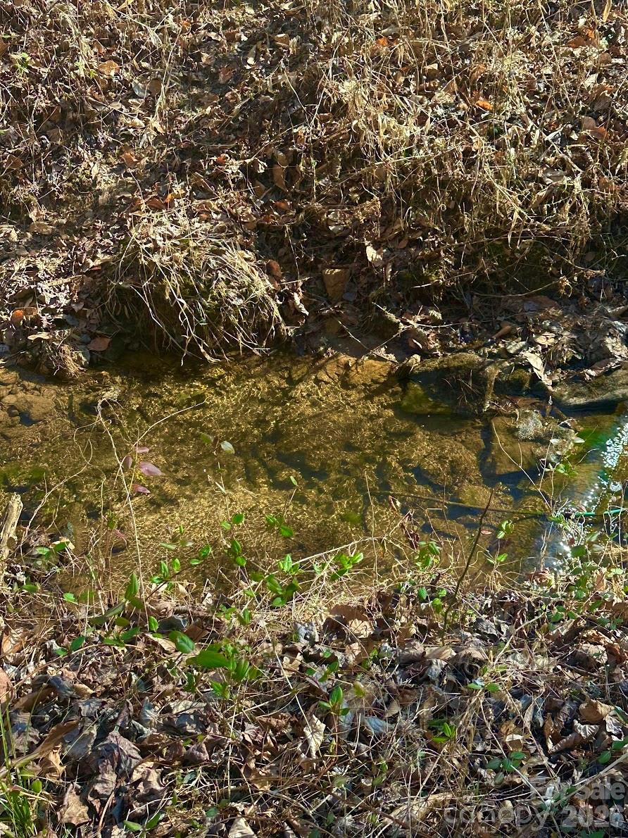 0 Clarence Towery Circle Property Photo 9