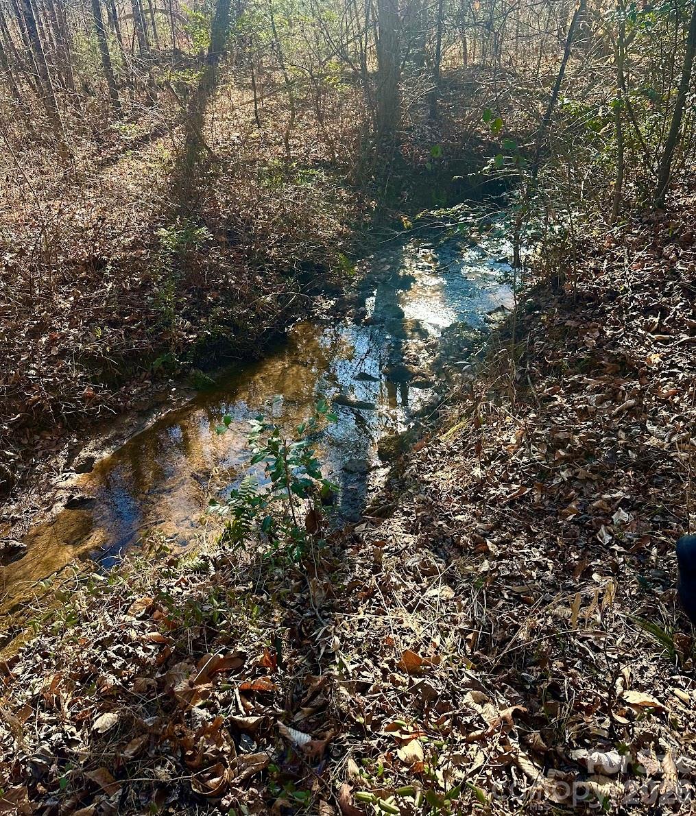 0 Clarence Towery Circle Property Photo 10