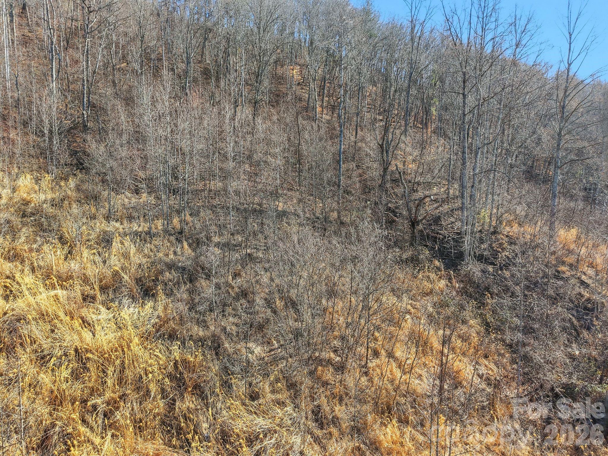99999 Morgan Branch Road Property Photo 13