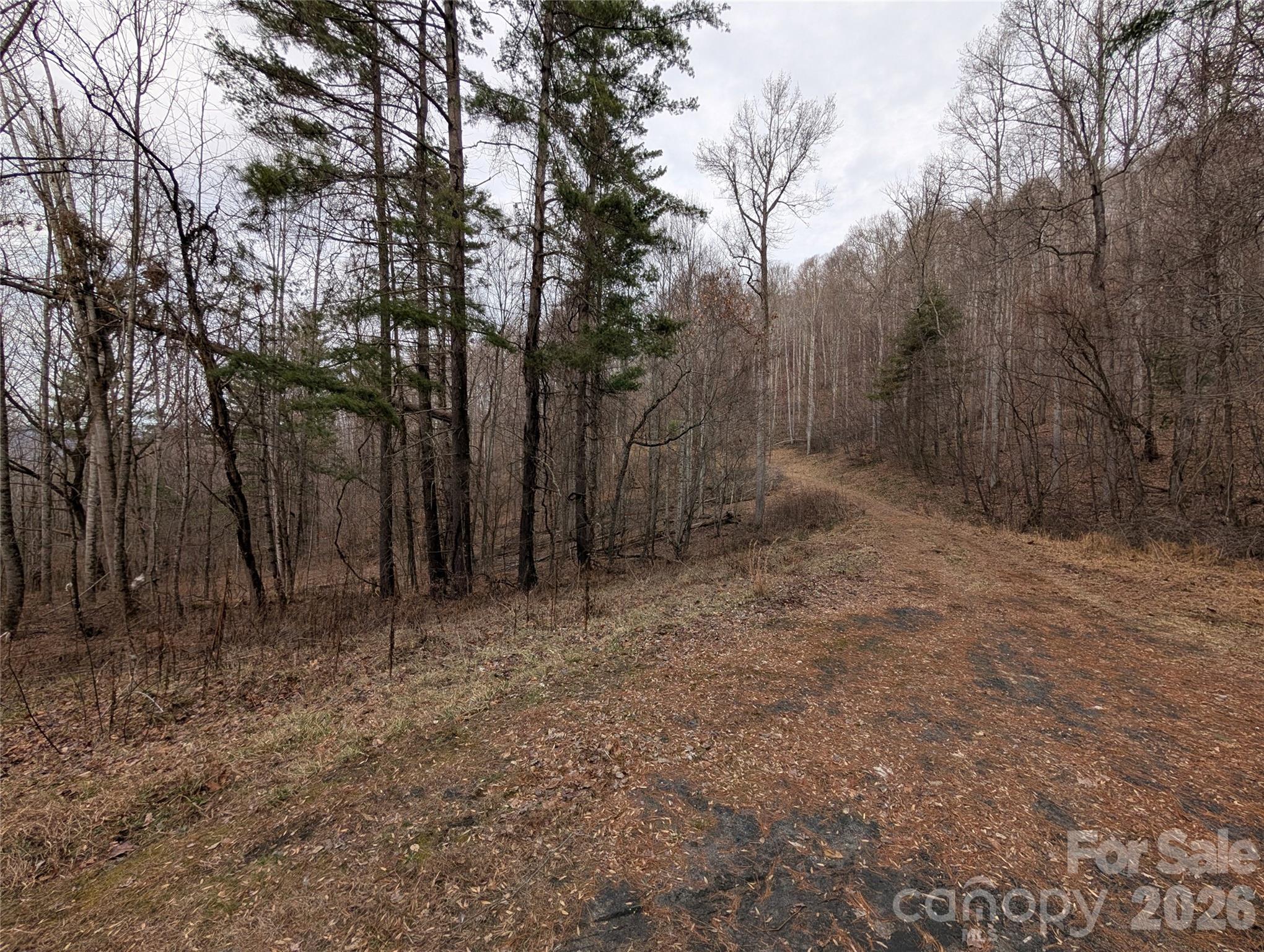 000 Wild Turkey Pen Road Property Photo 4