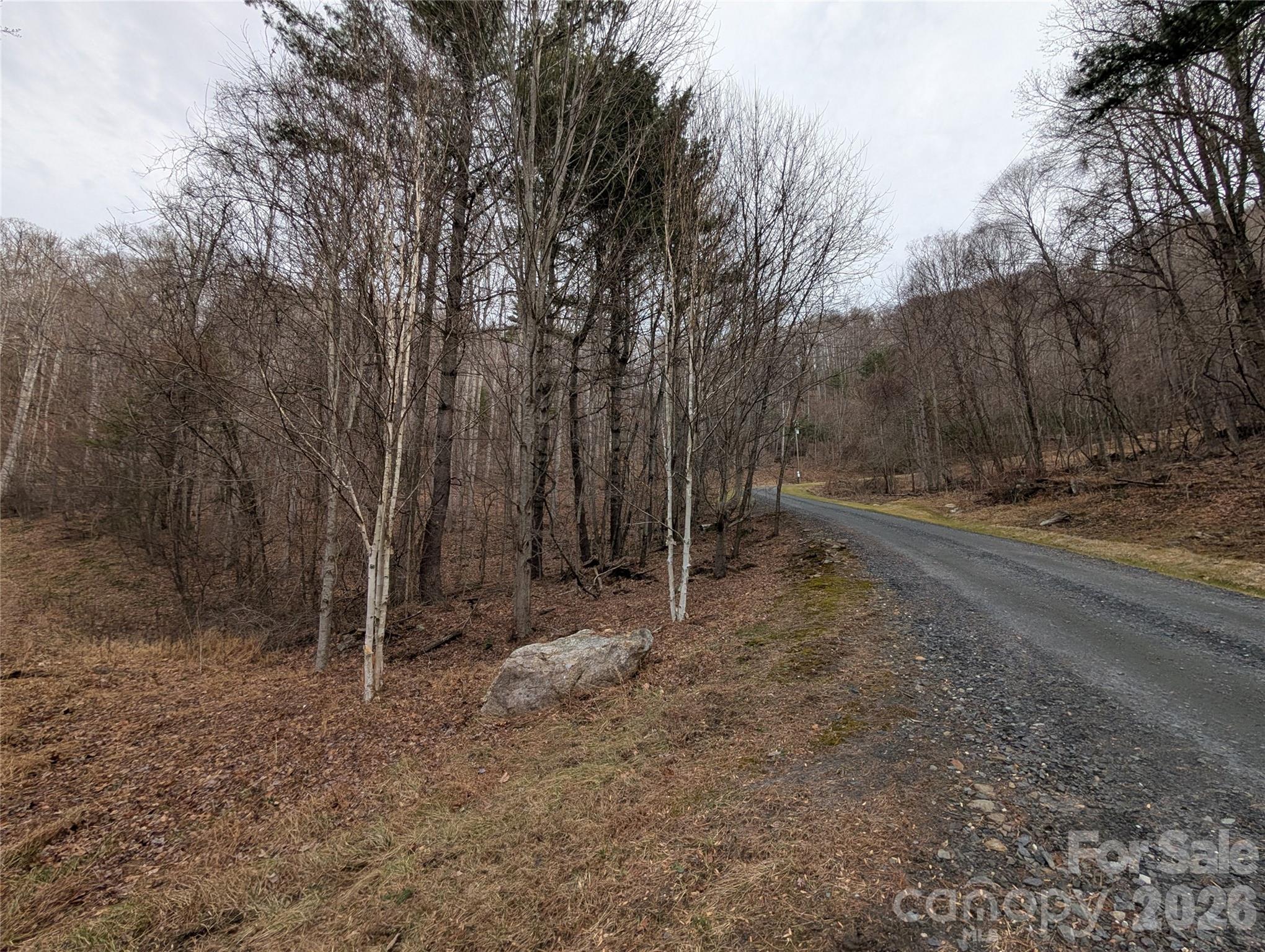 000 Wild Turkey Pen Road Property Photo 5