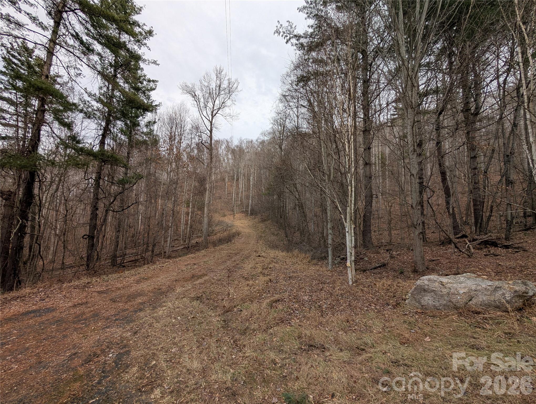 000 Wild Turkey Pen Road Property Photo 6