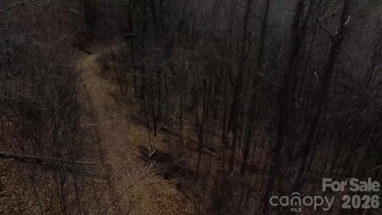 000 Wild Turkey Pen Road Property Photo 7