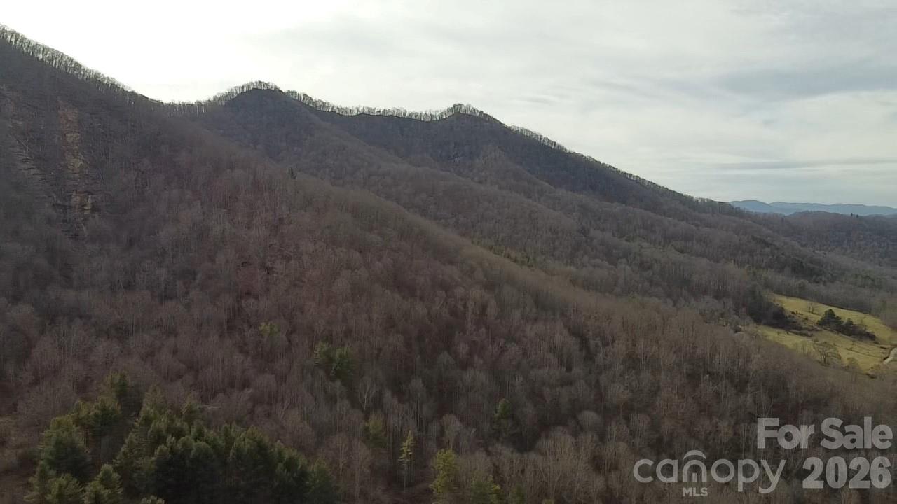 000 Wild Turkey Pen Road Property Photo 8