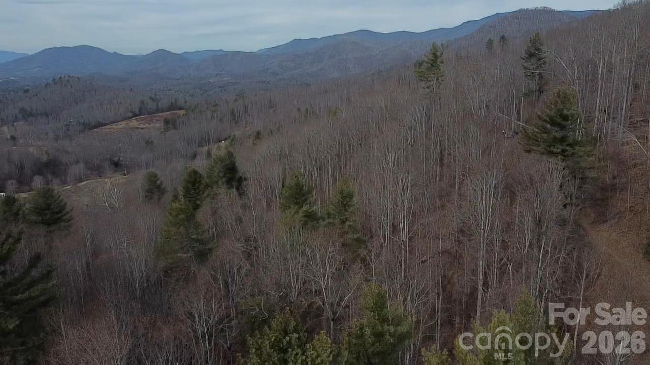 000 Wild Turkey Pen Road Property Photo 9