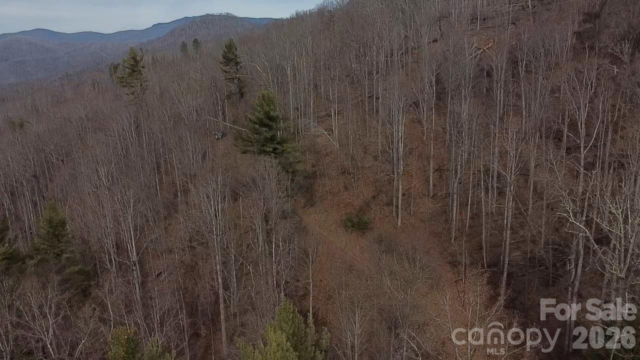 000 Wild Turkey Pen Road Property Photo 10