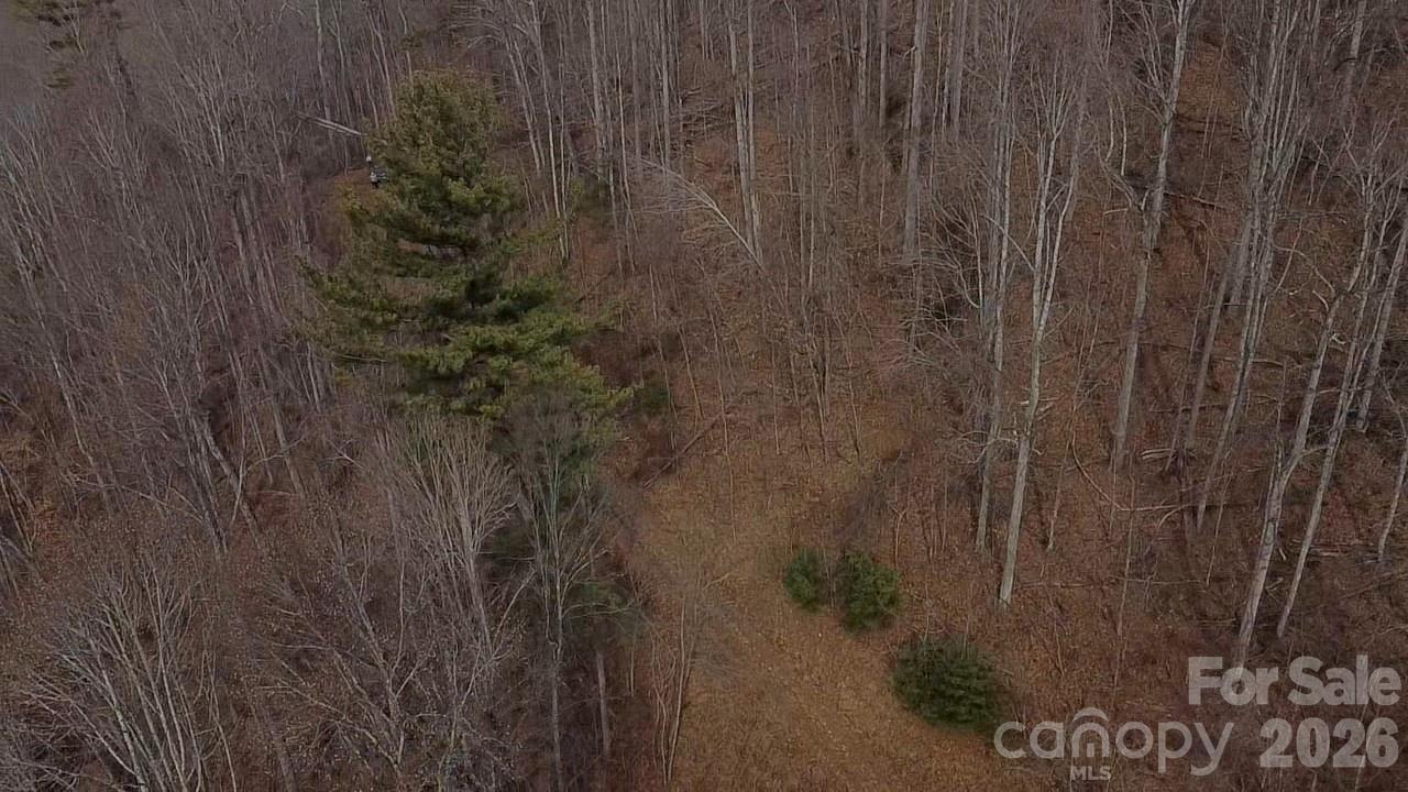 000 Wild Turkey Pen Road Property Photo 11