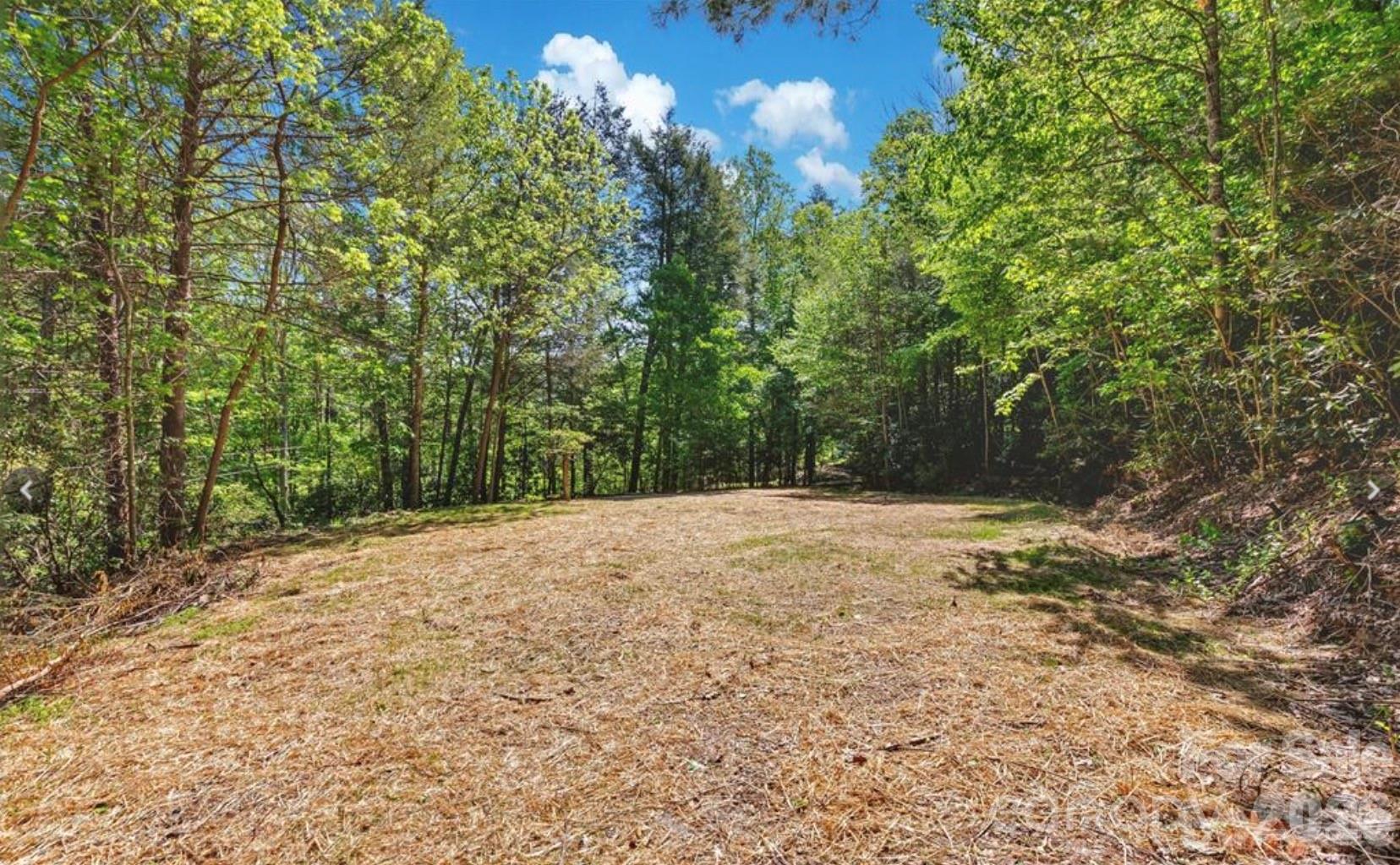 1127 Bee Tree Road Property Photo 3