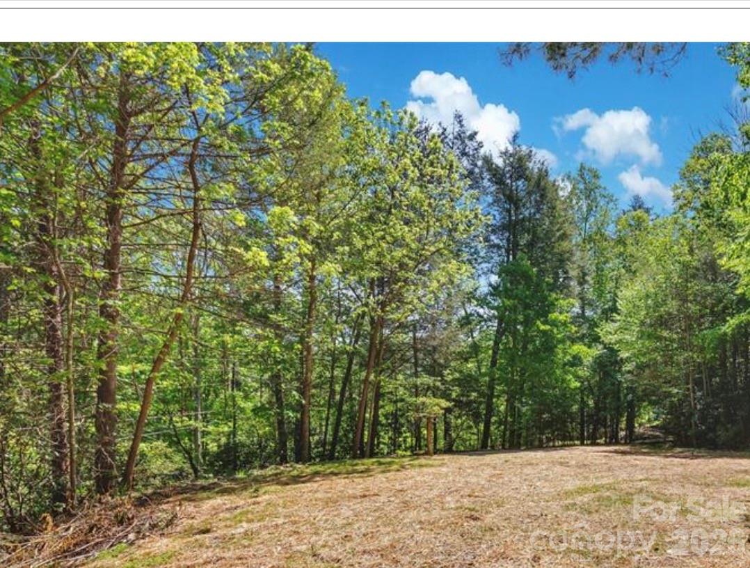 1127 Bee Tree Road Property Photo 4