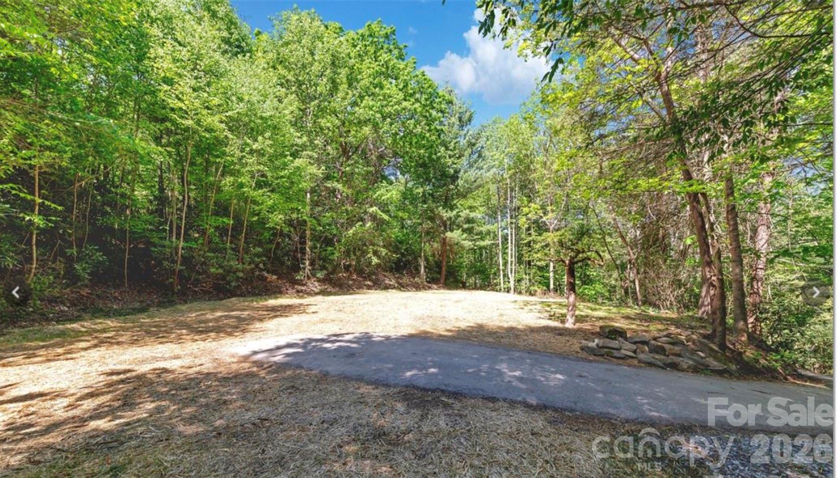 1127 Bee Tree Road Property Photo 5