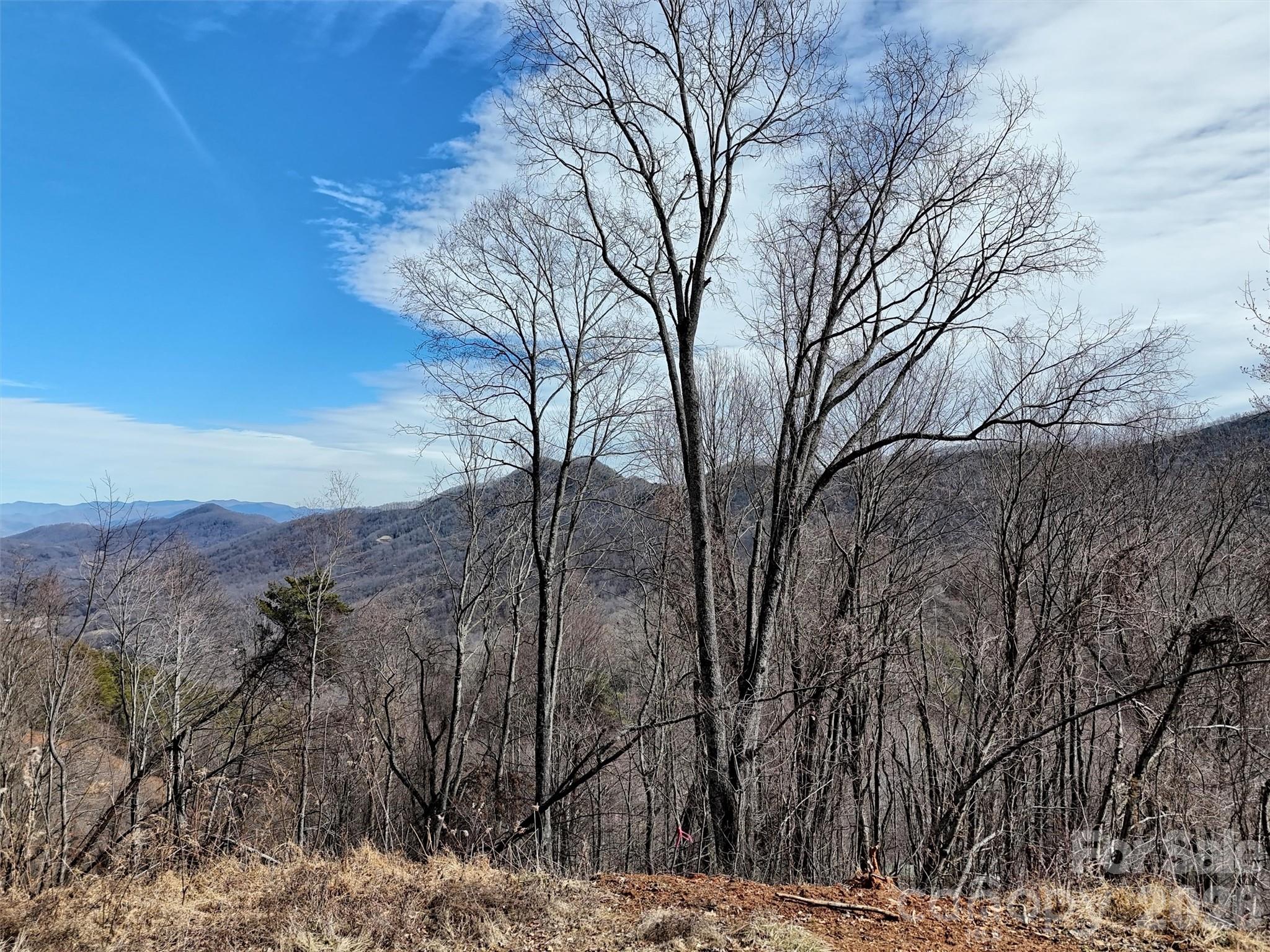 Tbd Rock Ridge Road 9a & 9b Property Photo 12