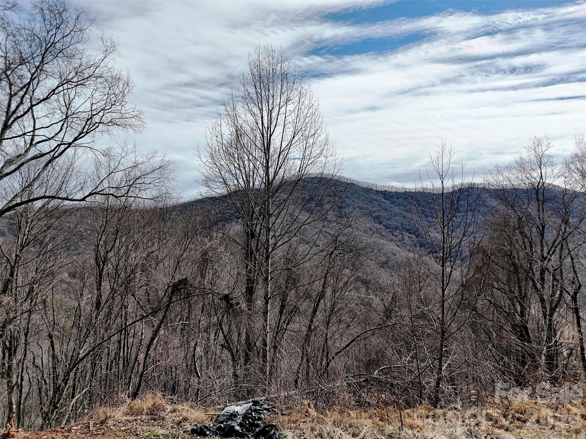 Tbd Rock Ridge Road 9a & 9b Property Photo 13