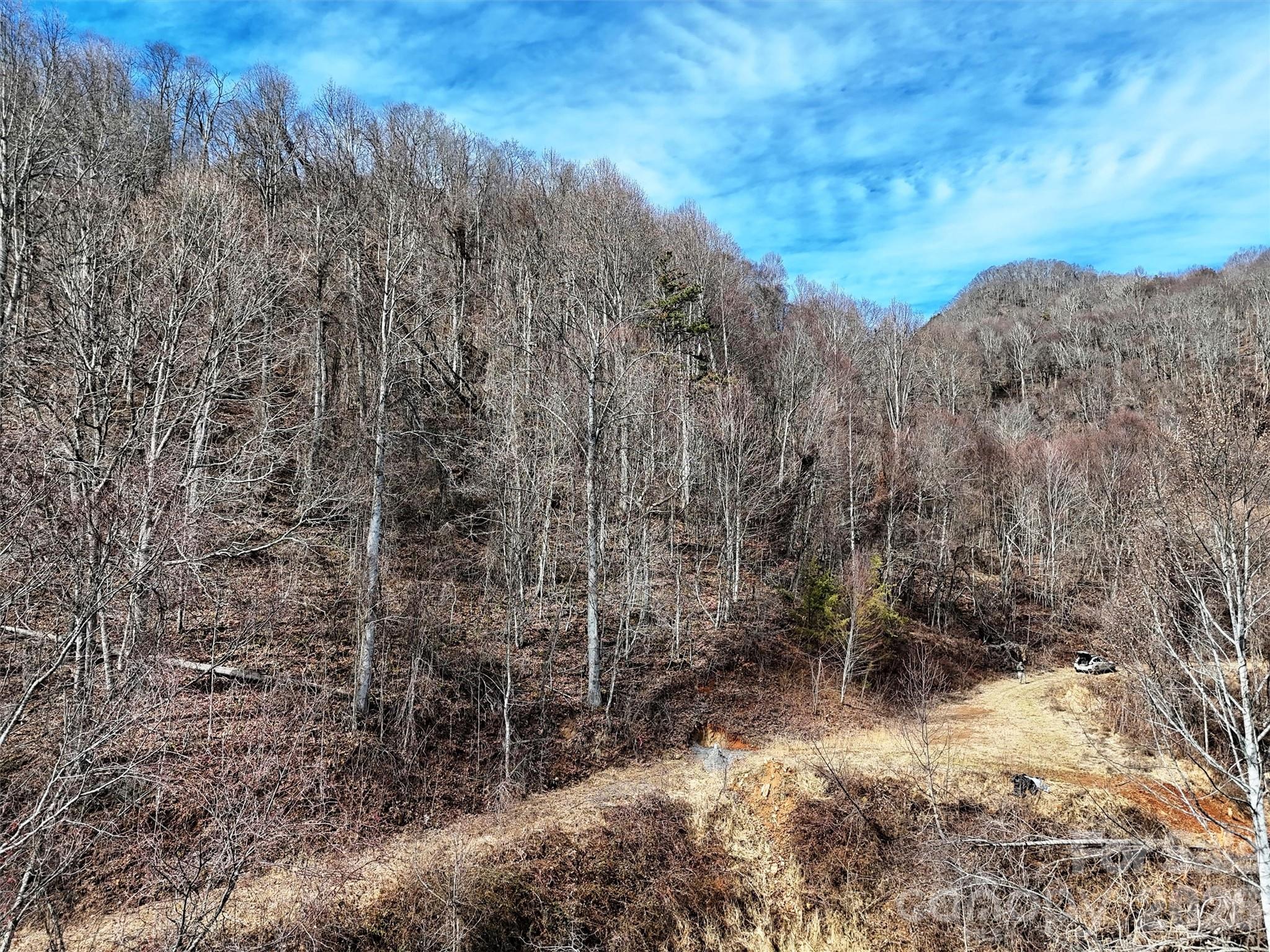 Tbd Rock Ridge Road 9a & 9b Property Photo 14