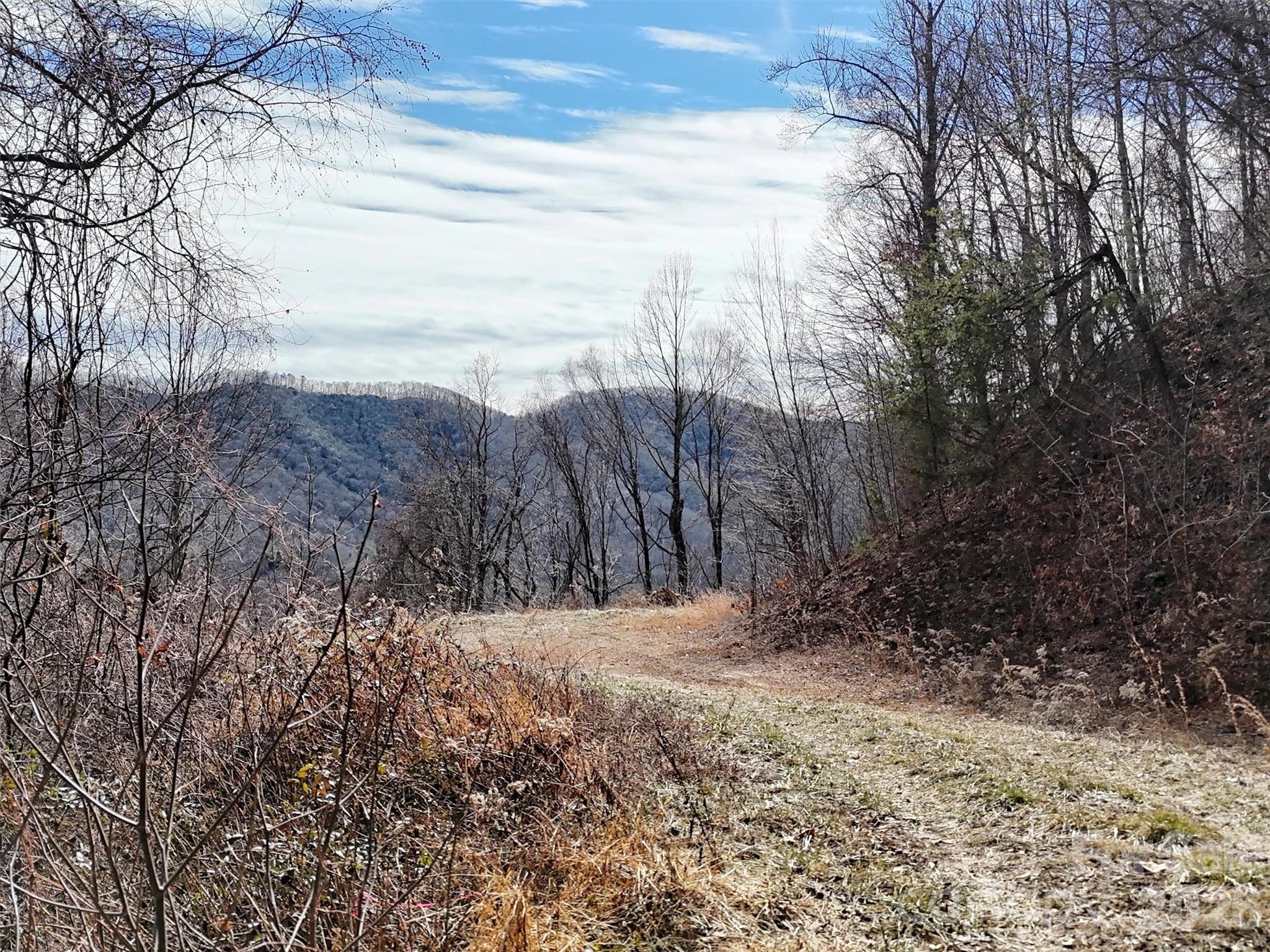 Tbd Rock Ridge Road 9a & 9b Property Photo 15