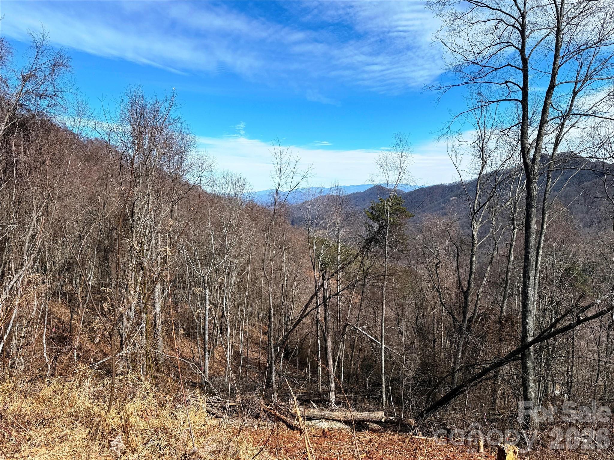 Tbd Rock Ridge Road 9a & 9b Property Photo 17