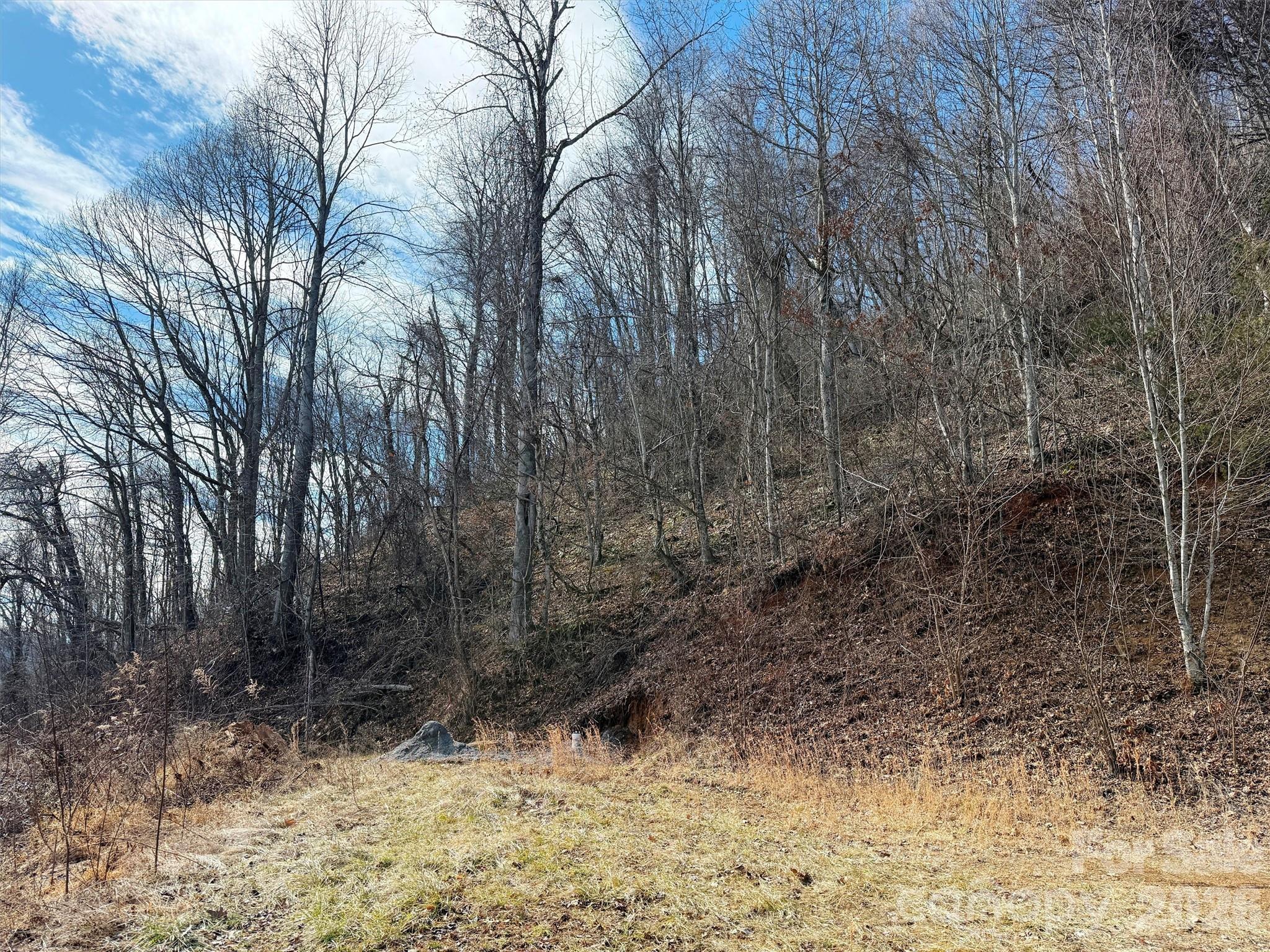 Tbd Rock Ridge Road 9a & 9b Property Photo 18