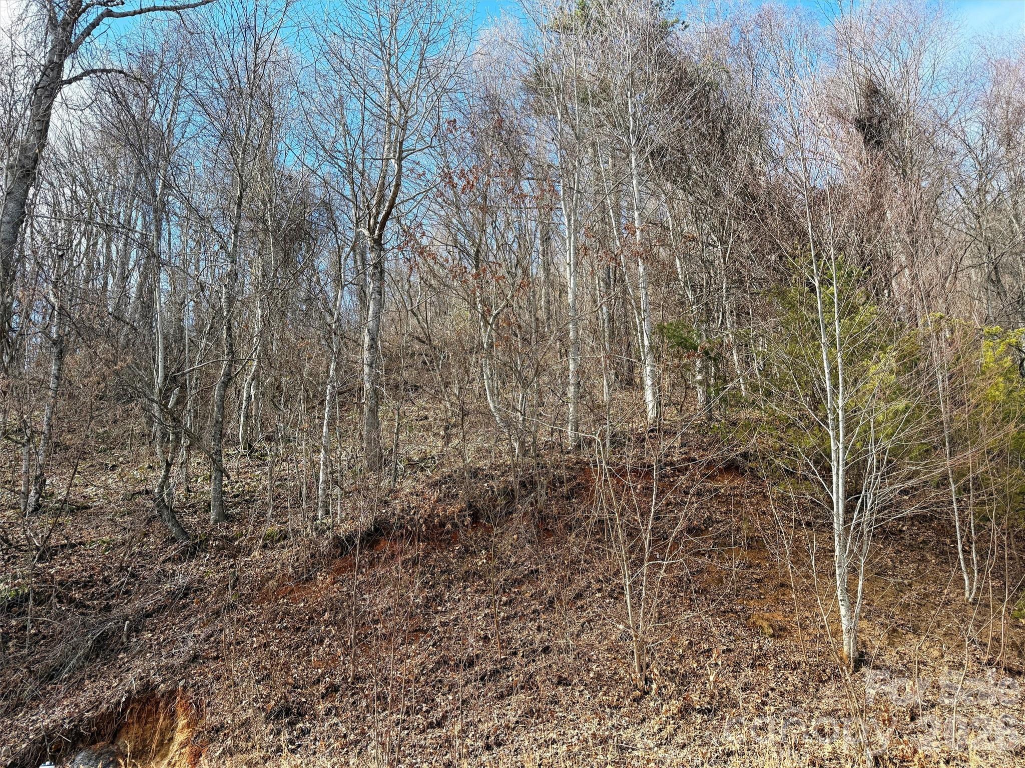Tbd Rock Ridge Road 9a & 9b Property Photo 19